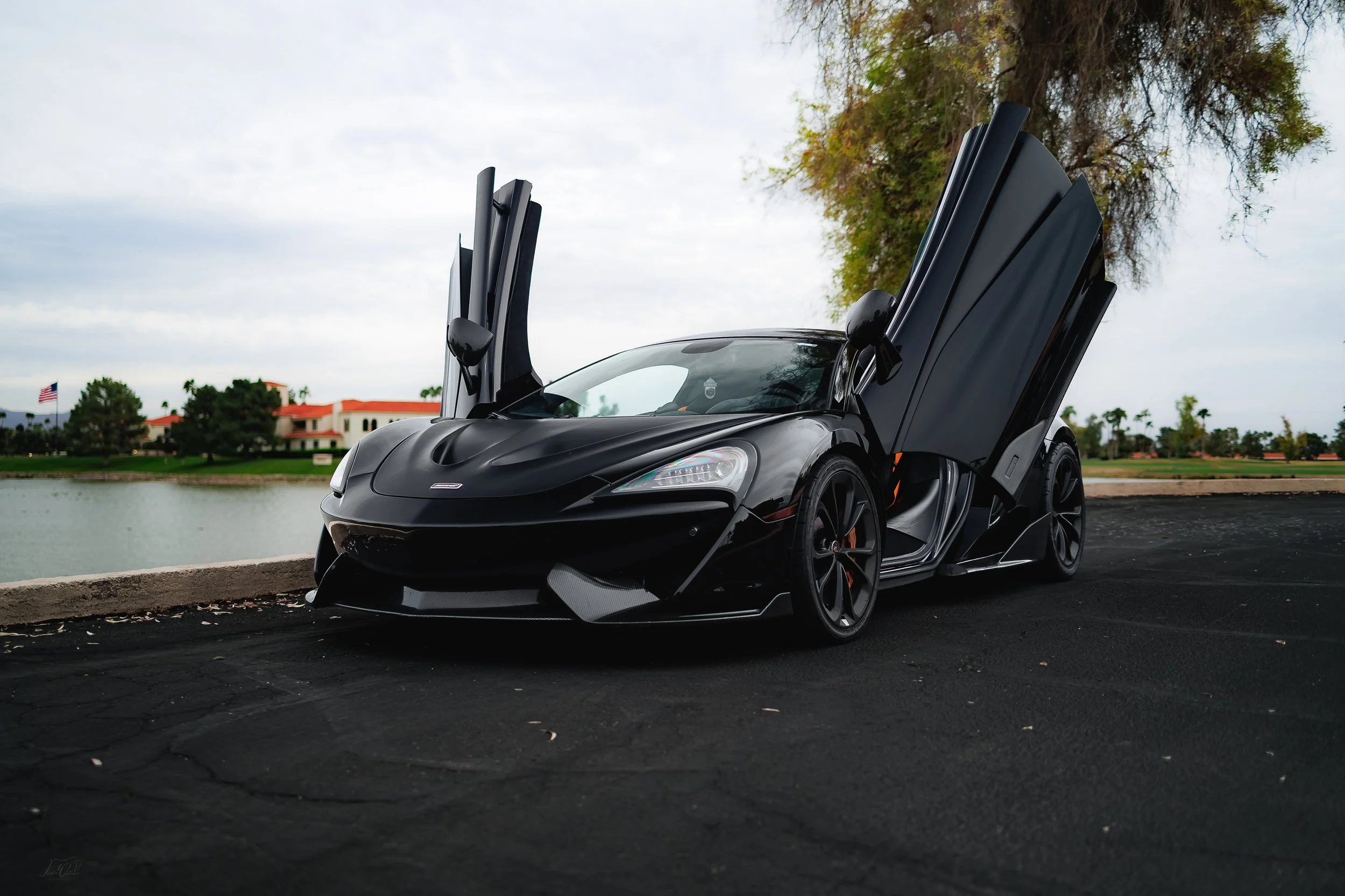 McLaren 570s "Carbon Viper"