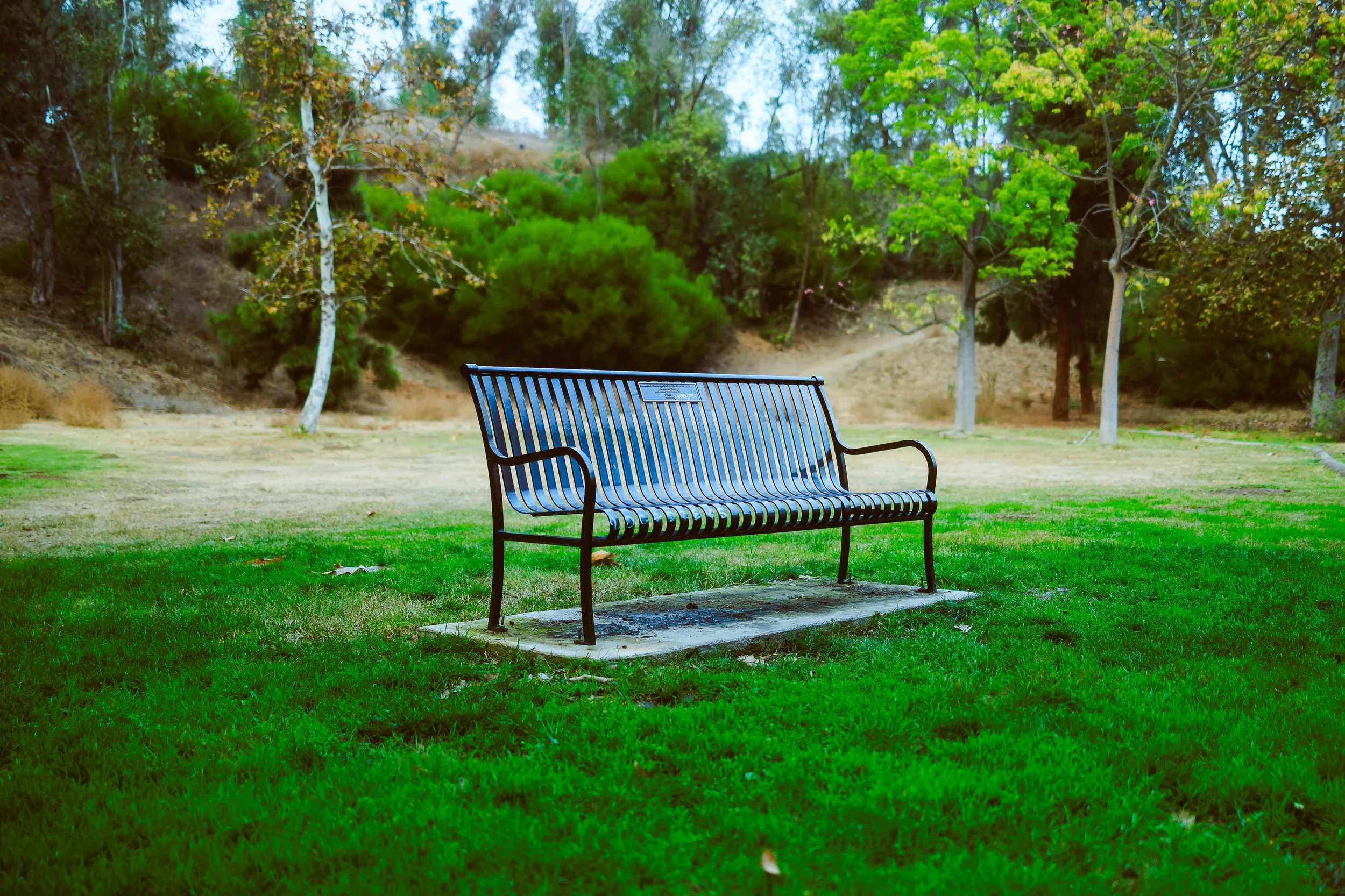 Photos Final-633.jpg