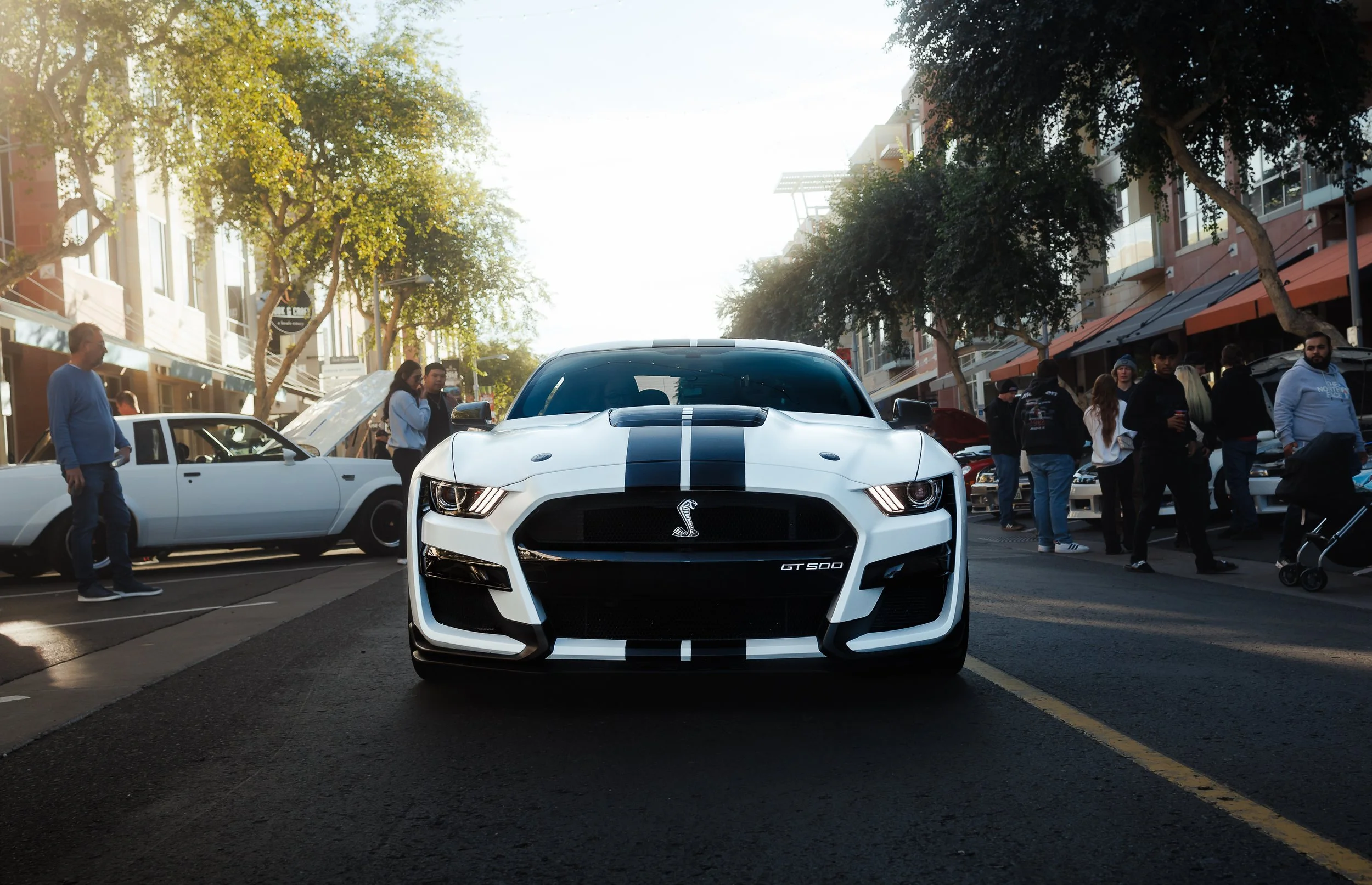 Photos Final-1213.jpg