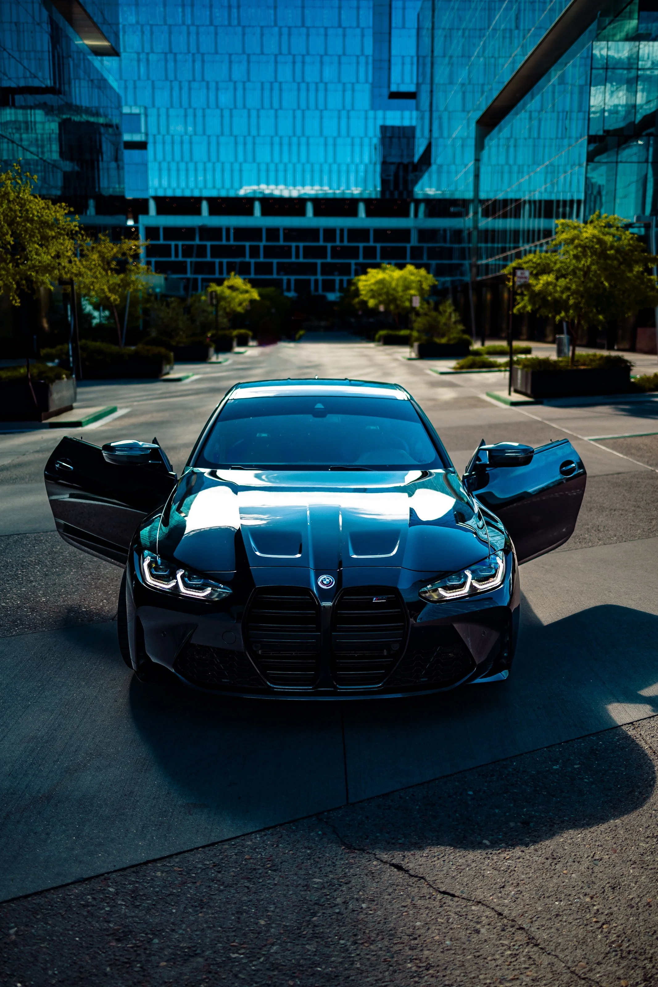 Brandon's G82-84.jpg