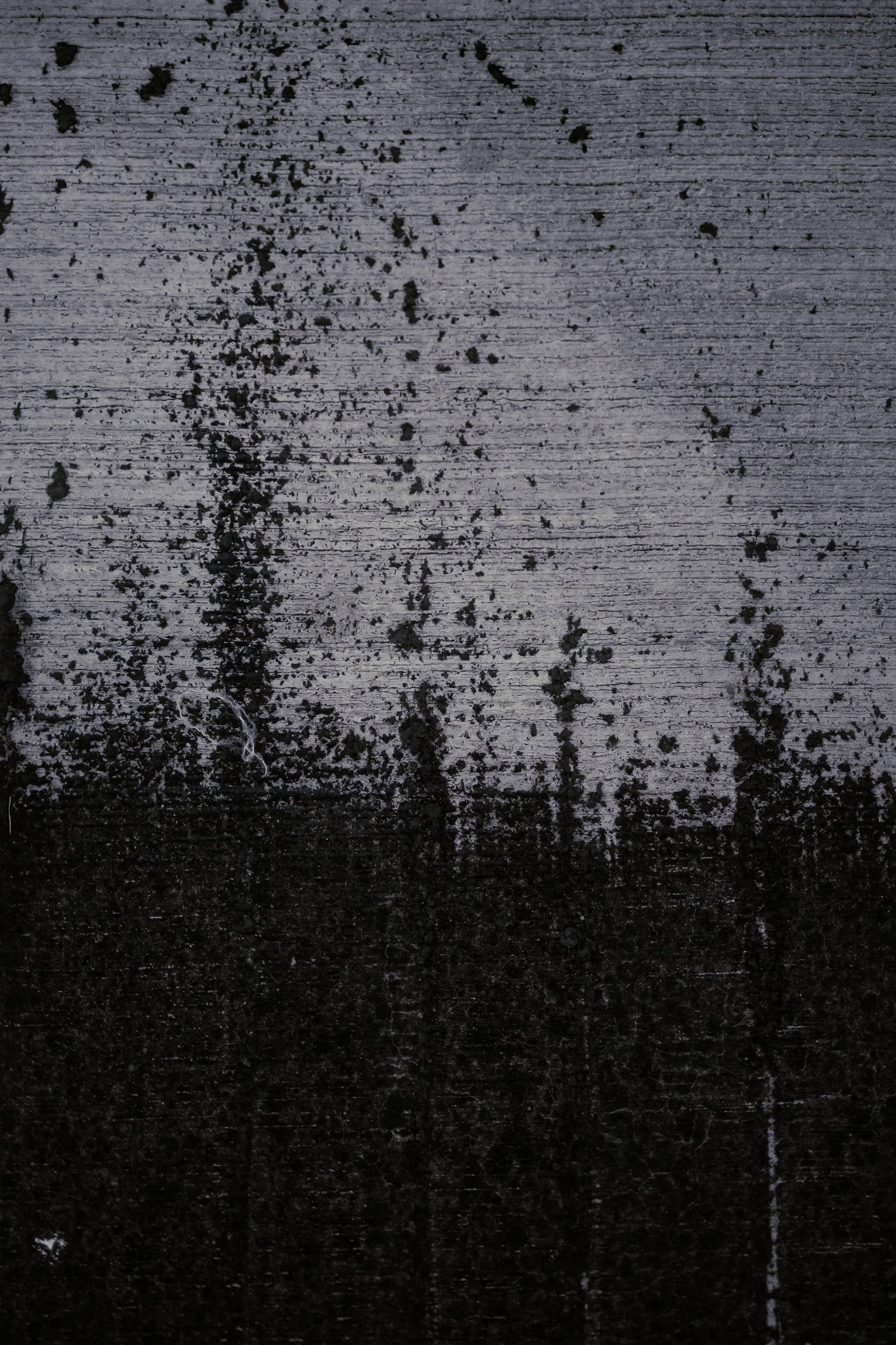 Photos Final-254.jpg