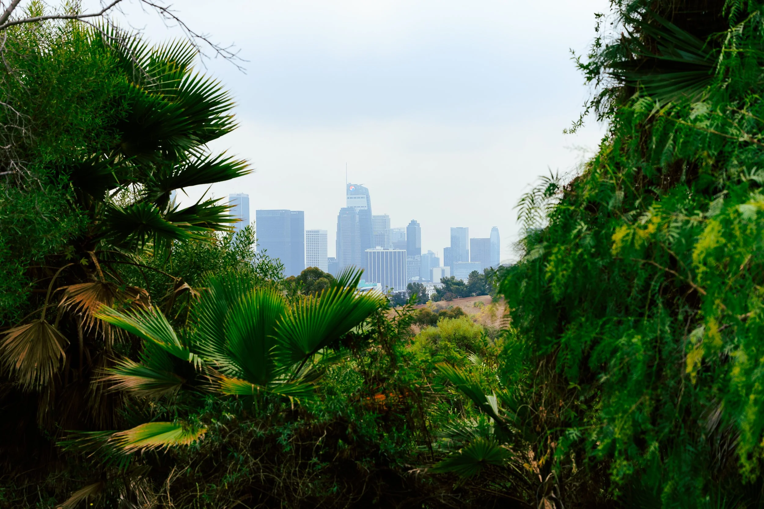 Photos Final-791.jpg