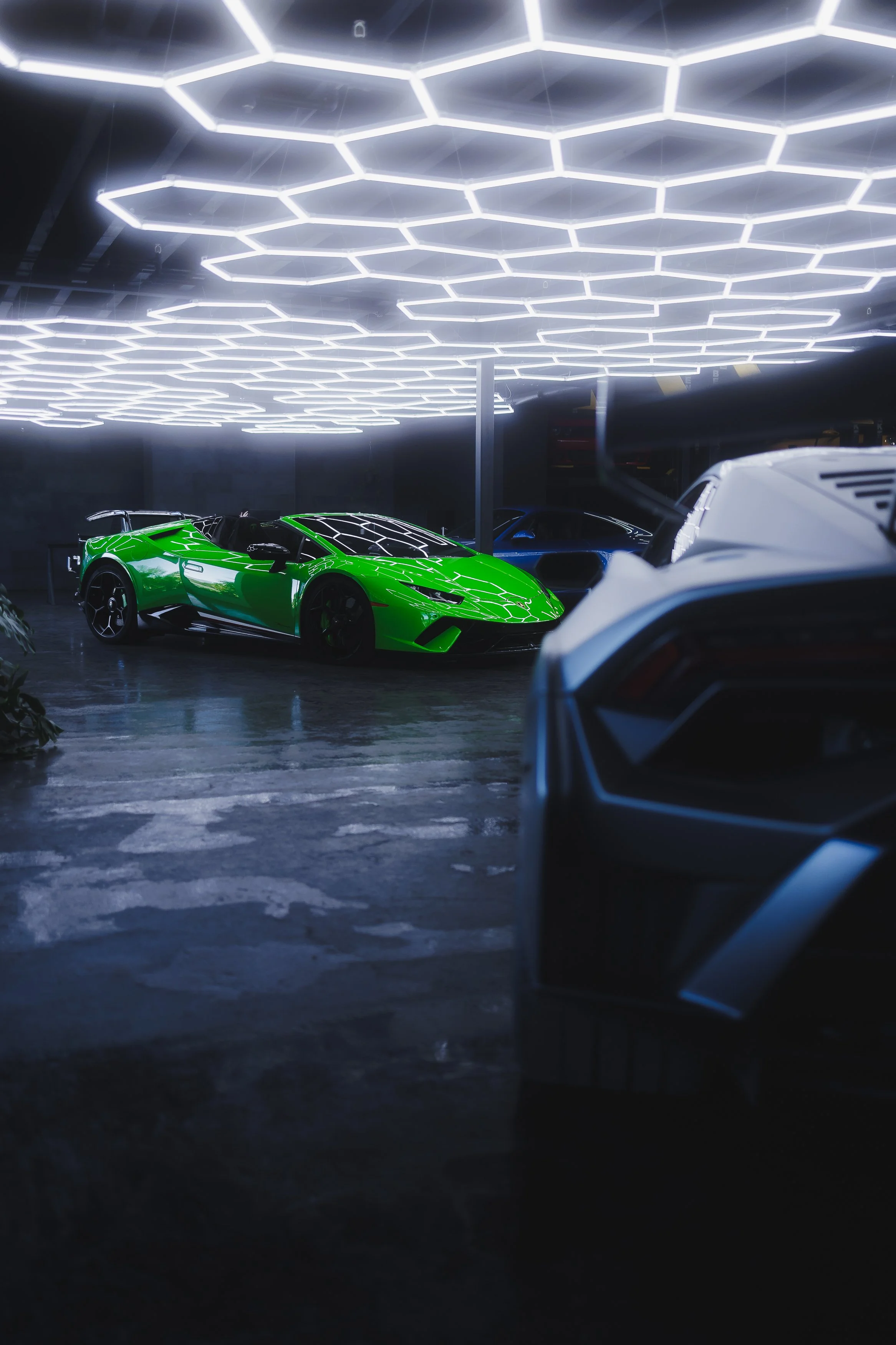 lapin motor co-23.jpg