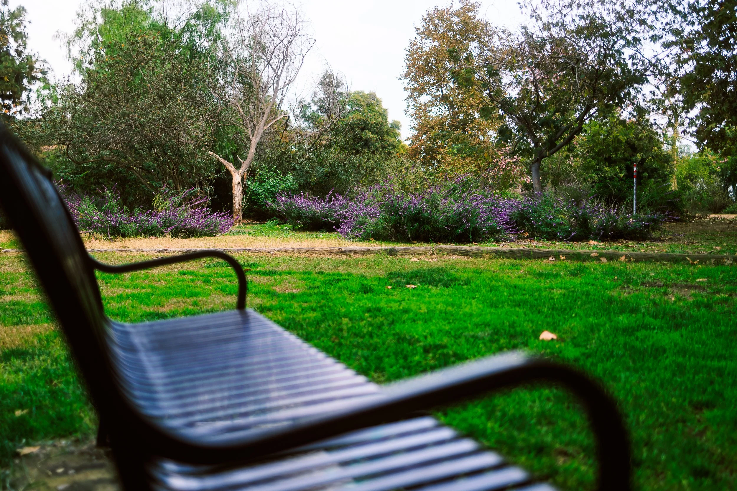 Photos Final-797.jpg