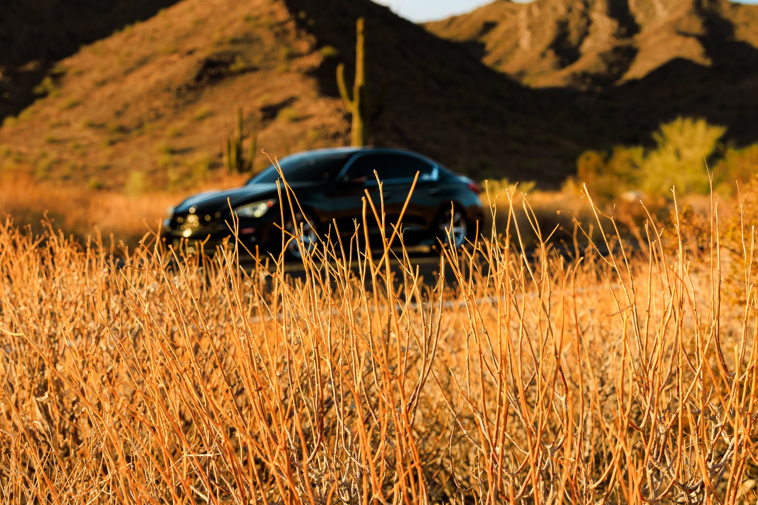 Photos Final-142.jpg