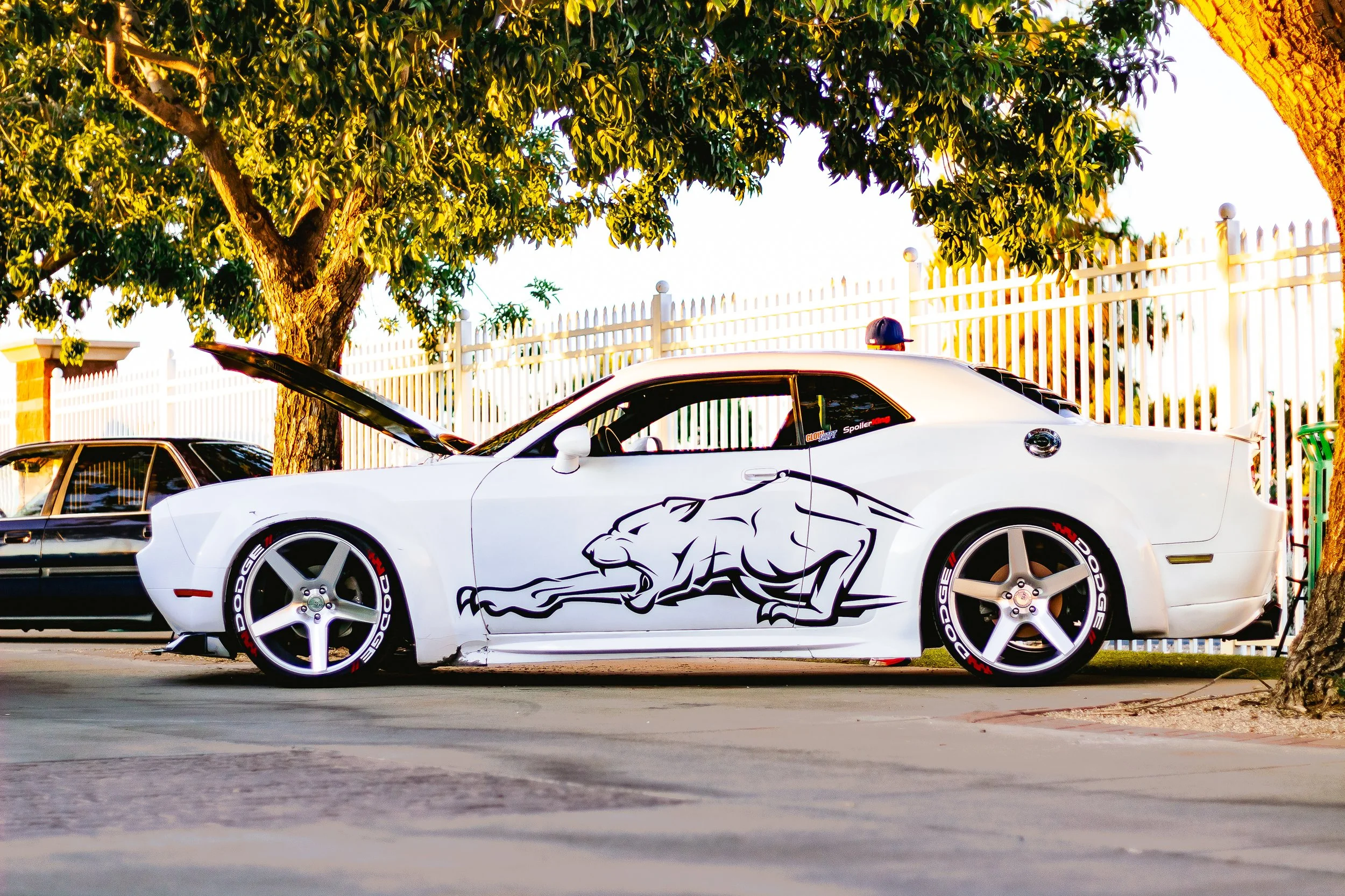 CaliCreaming (5.18.2024)-111.jpg