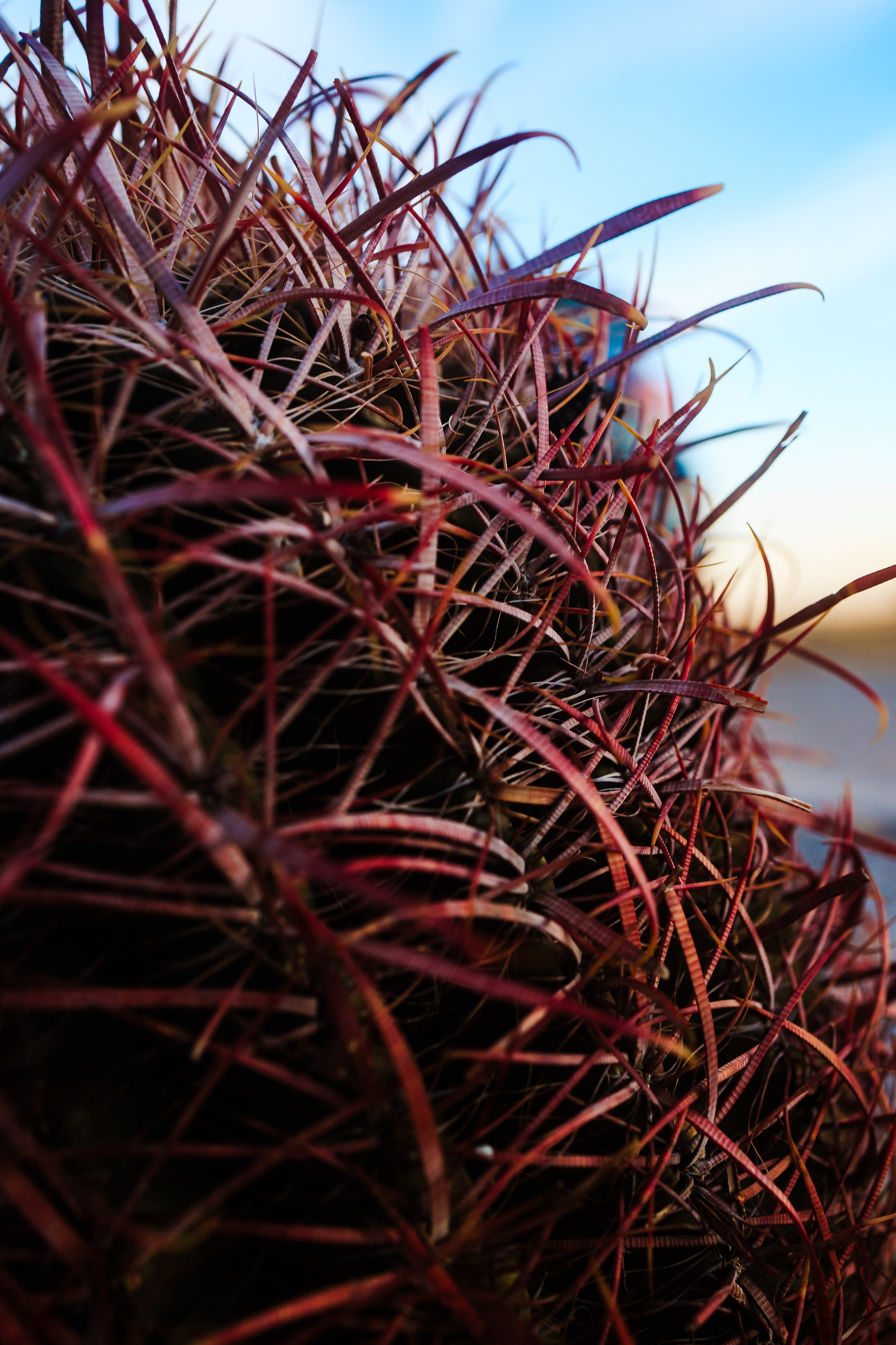 Photos Final-195.jpg