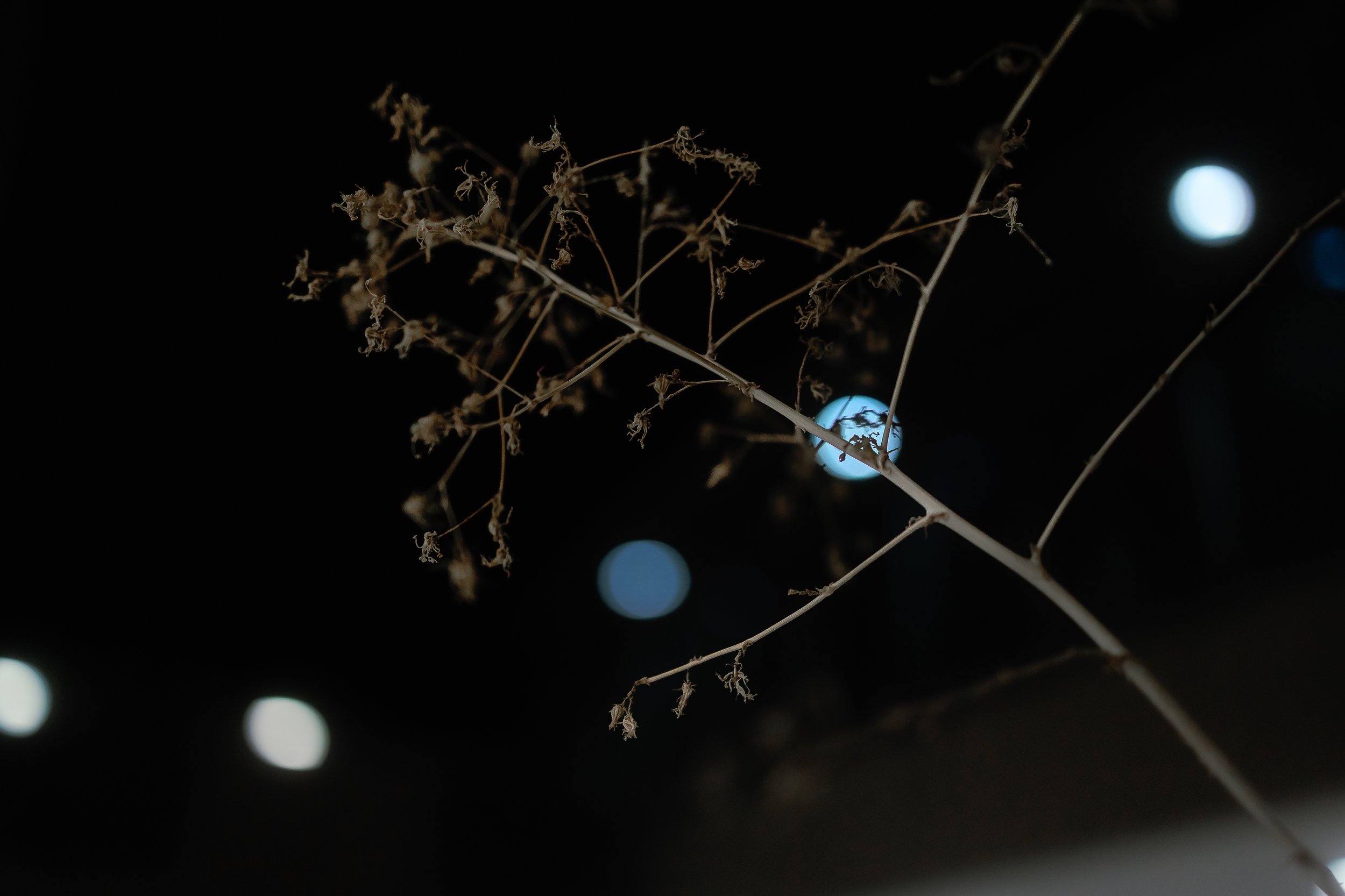 Photos Final-1047.jpg