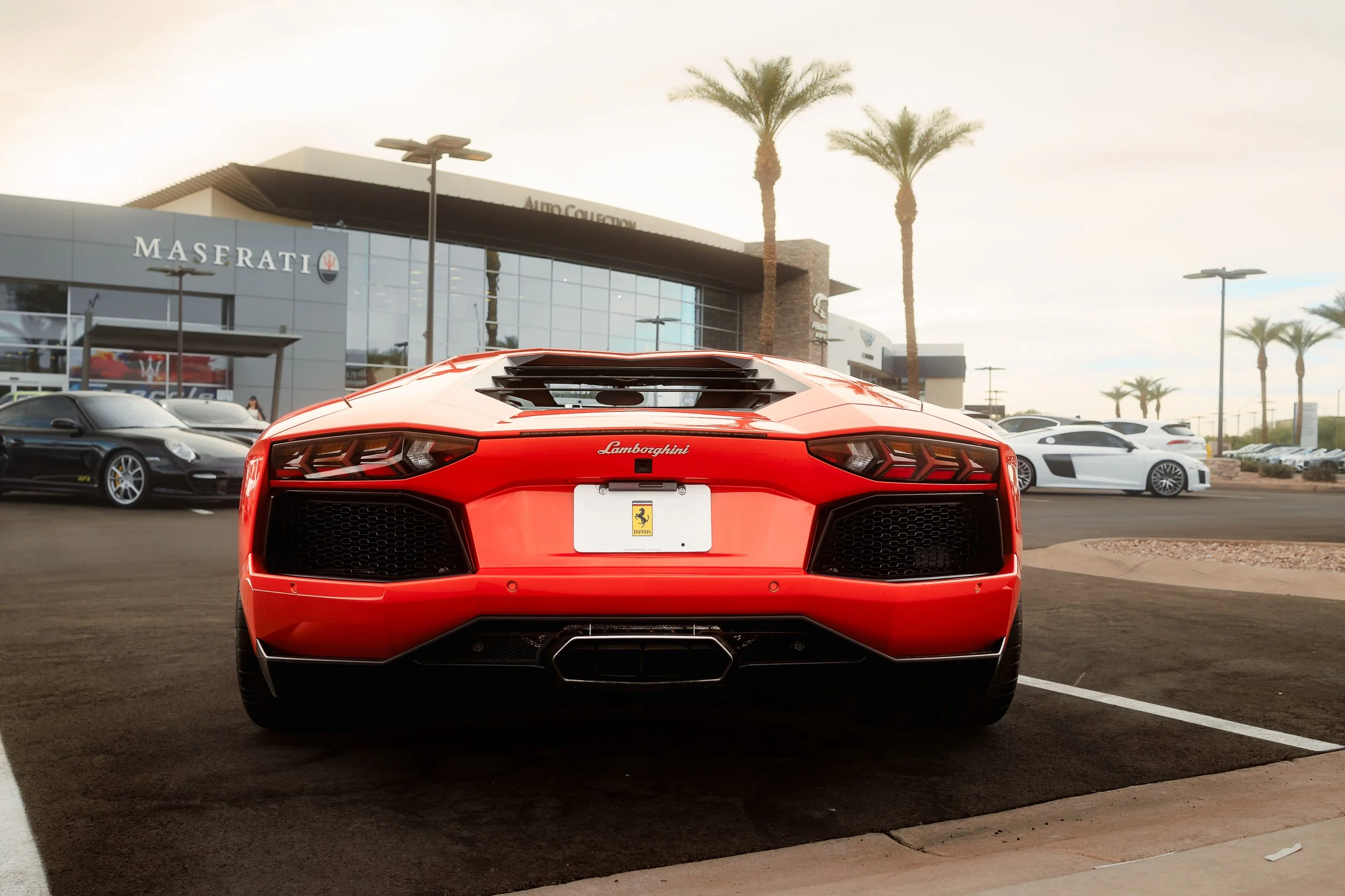 Photos Final-1231.jpg