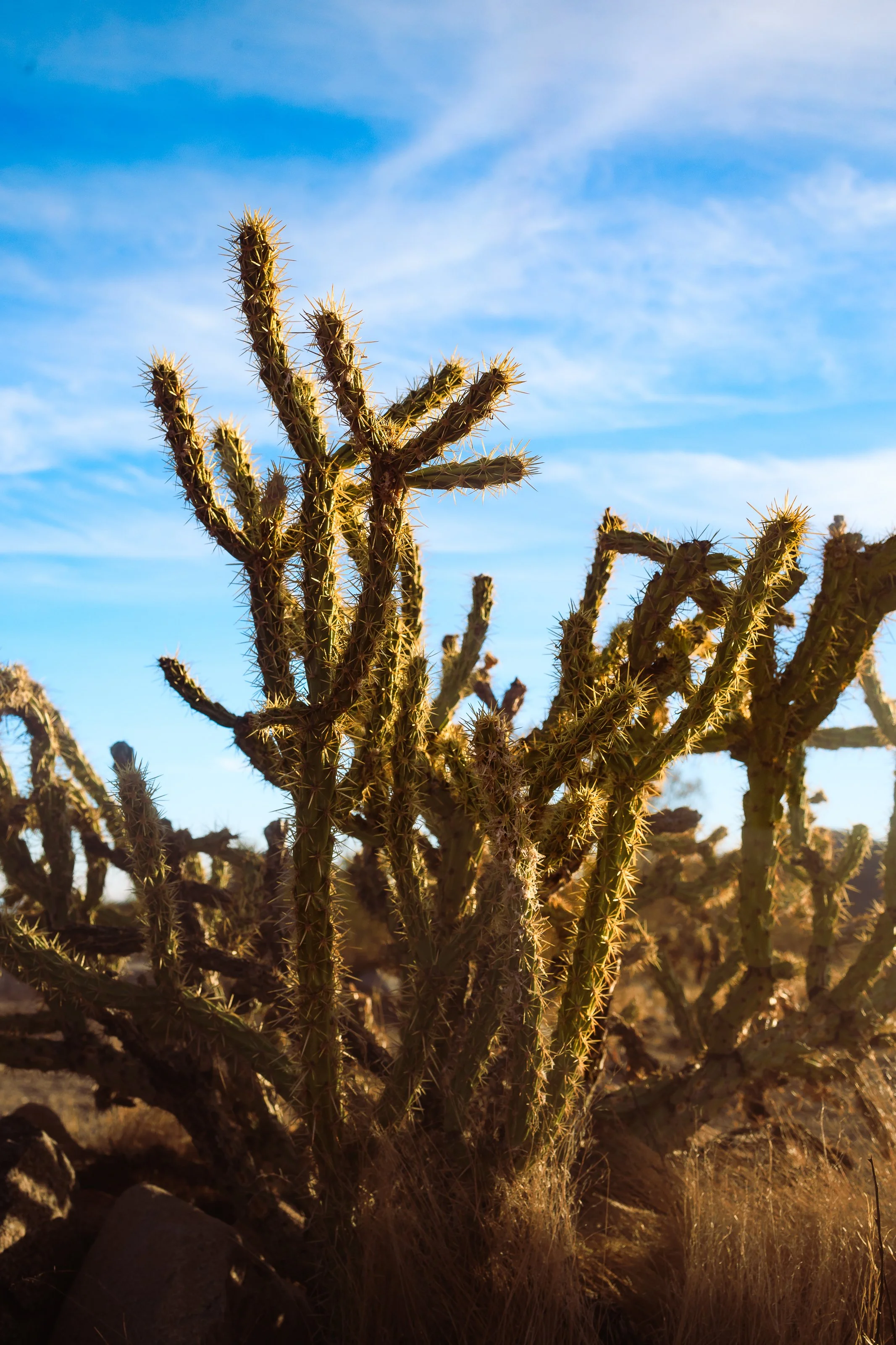 Photos Final-128.jpg