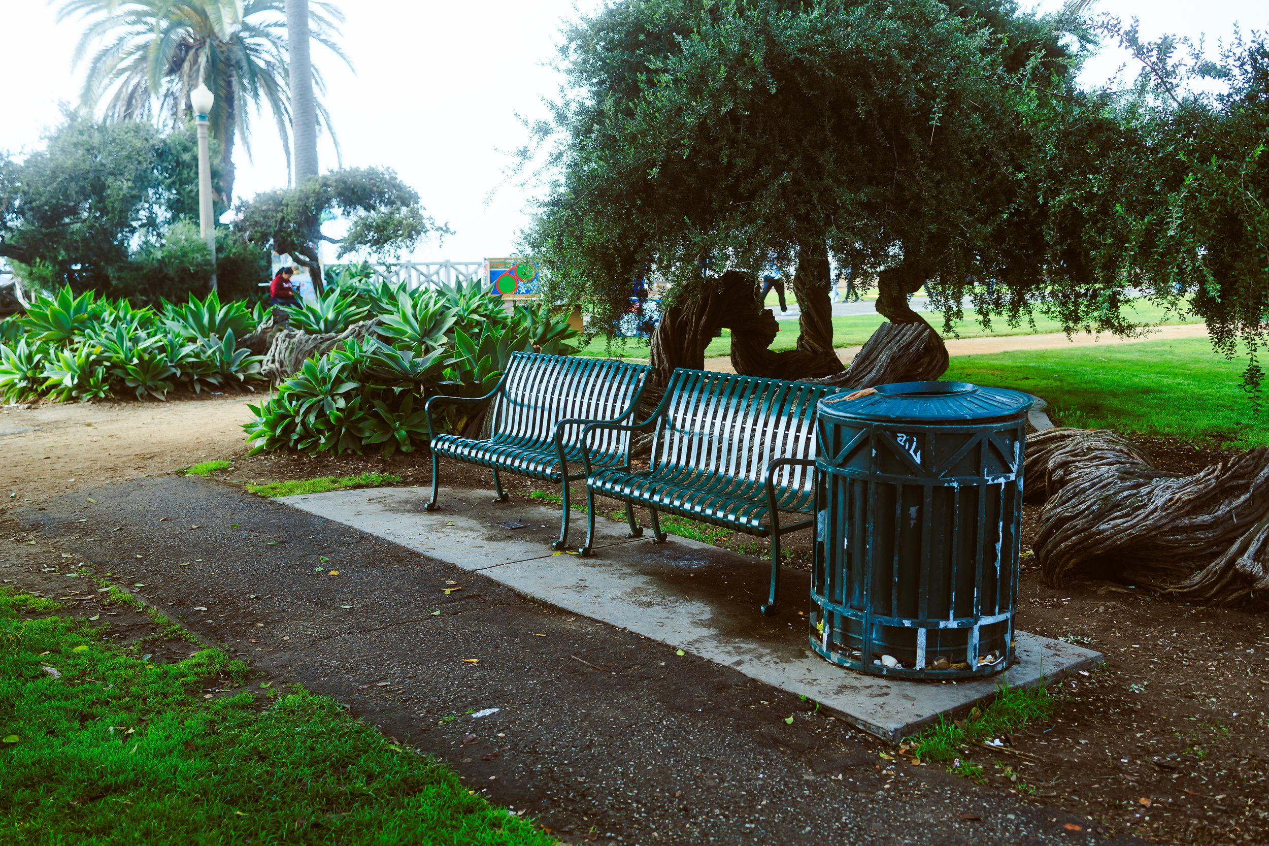 Photos Final-616.jpg