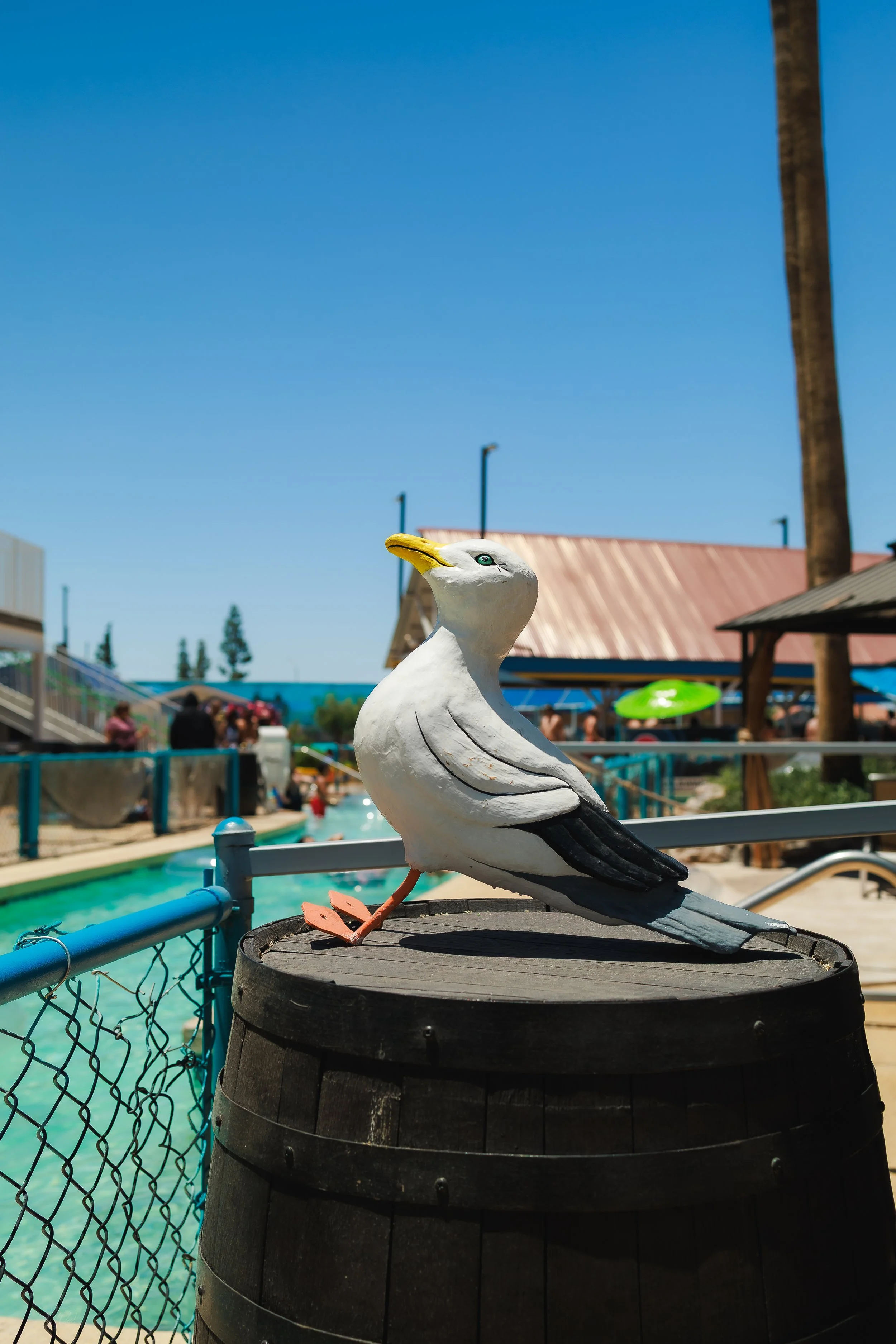Golfland Sunsplash Final-18.jpg