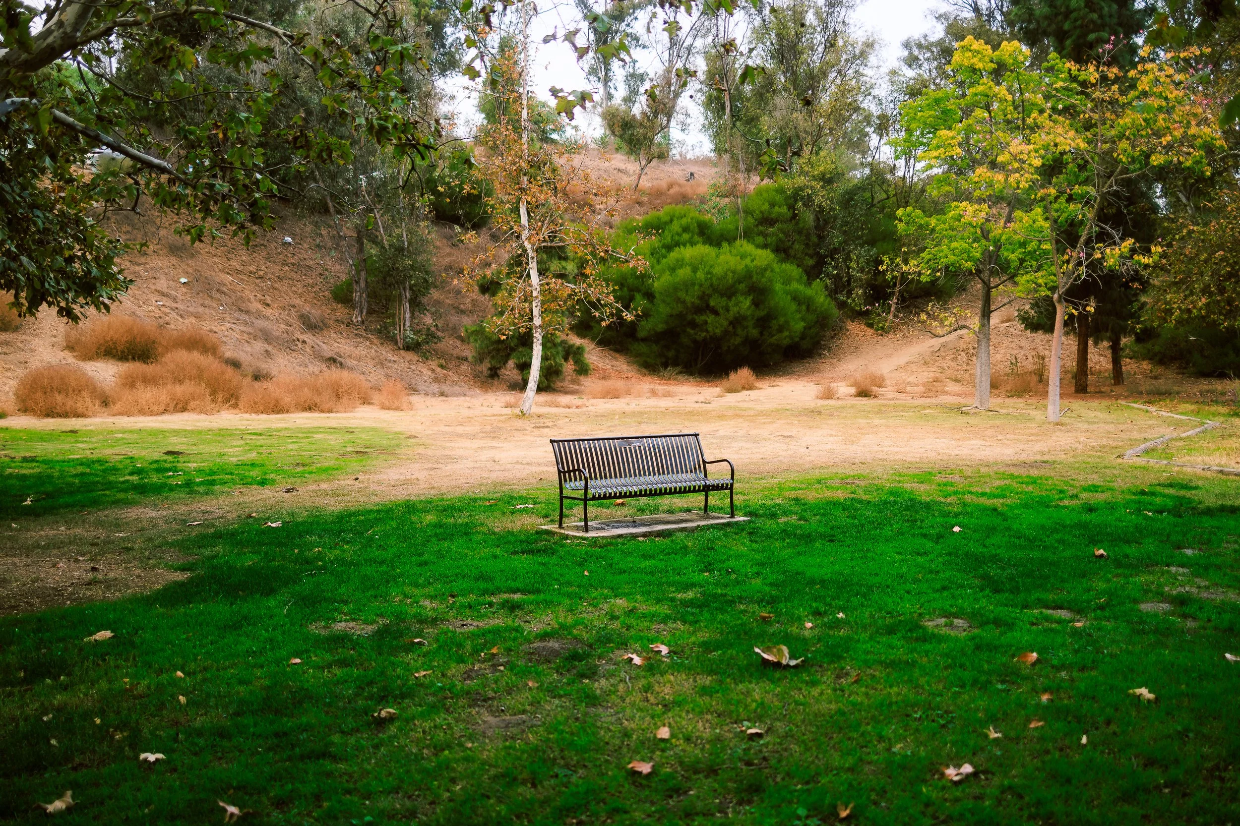 Photos Final-794.jpg