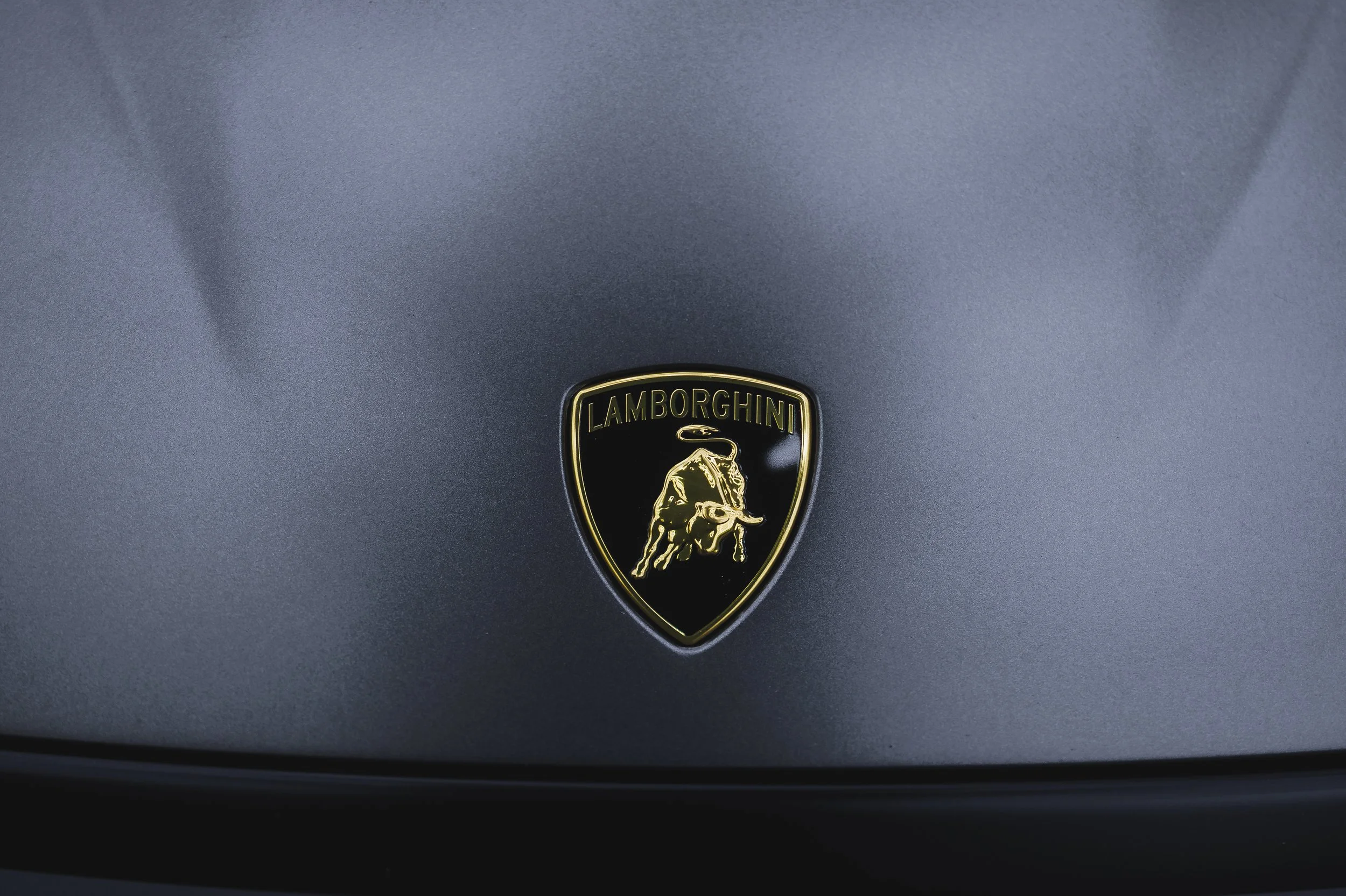 lapin motor co-31.jpg