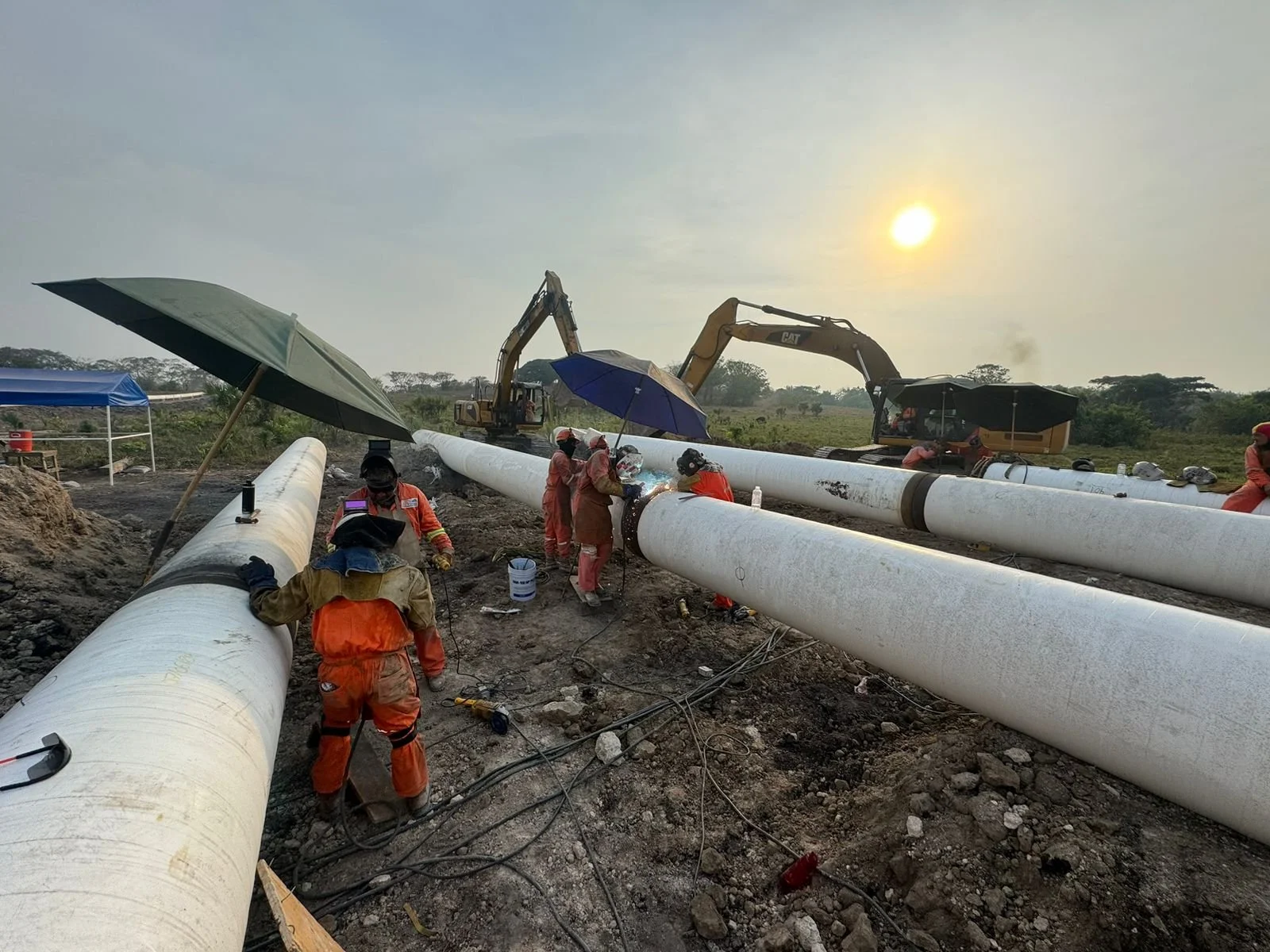 WhatsApp Image 2024-06-12 à 18.35.29_0307dc19.jpg