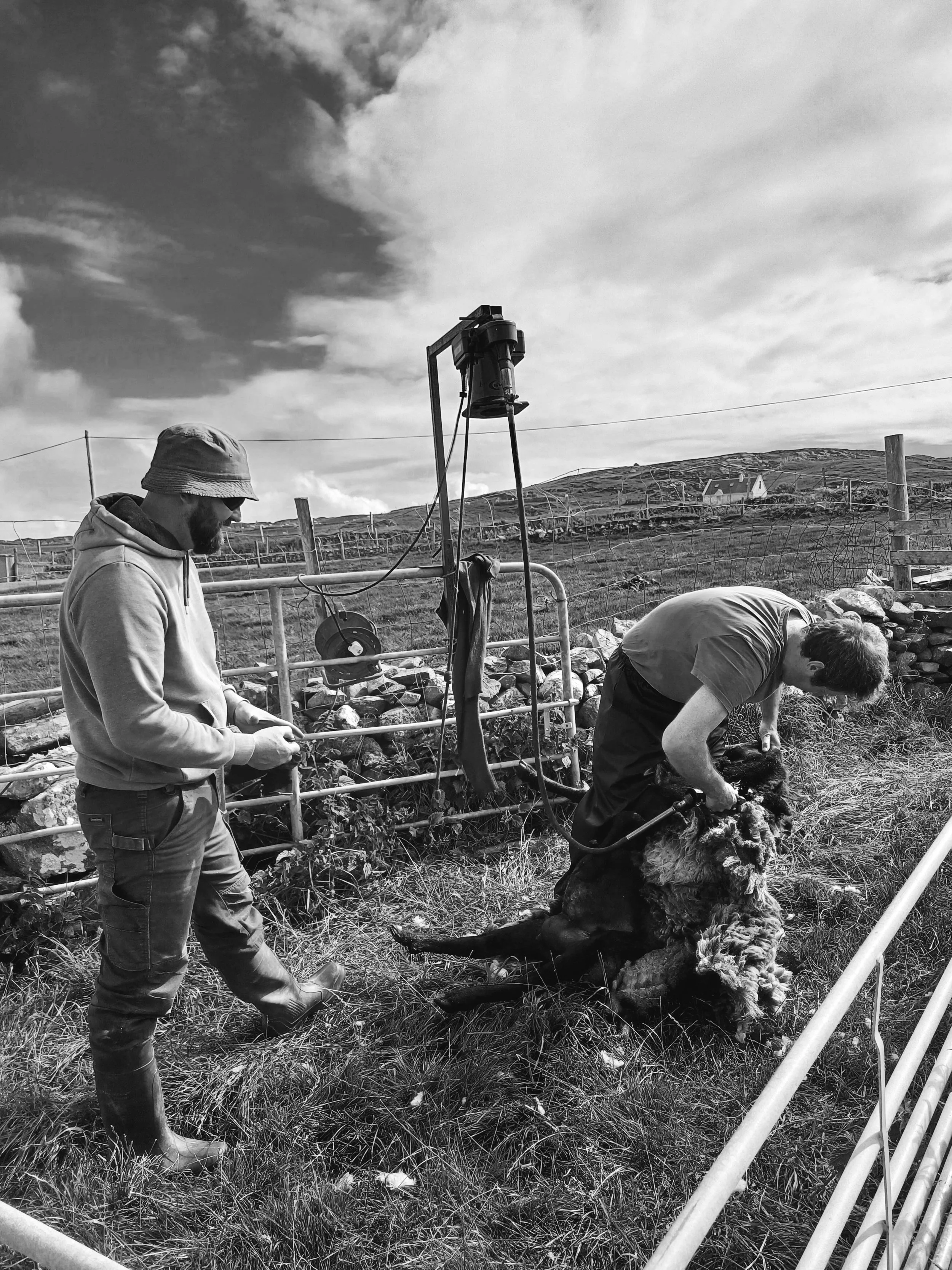 Denis - Sheep Farmer
