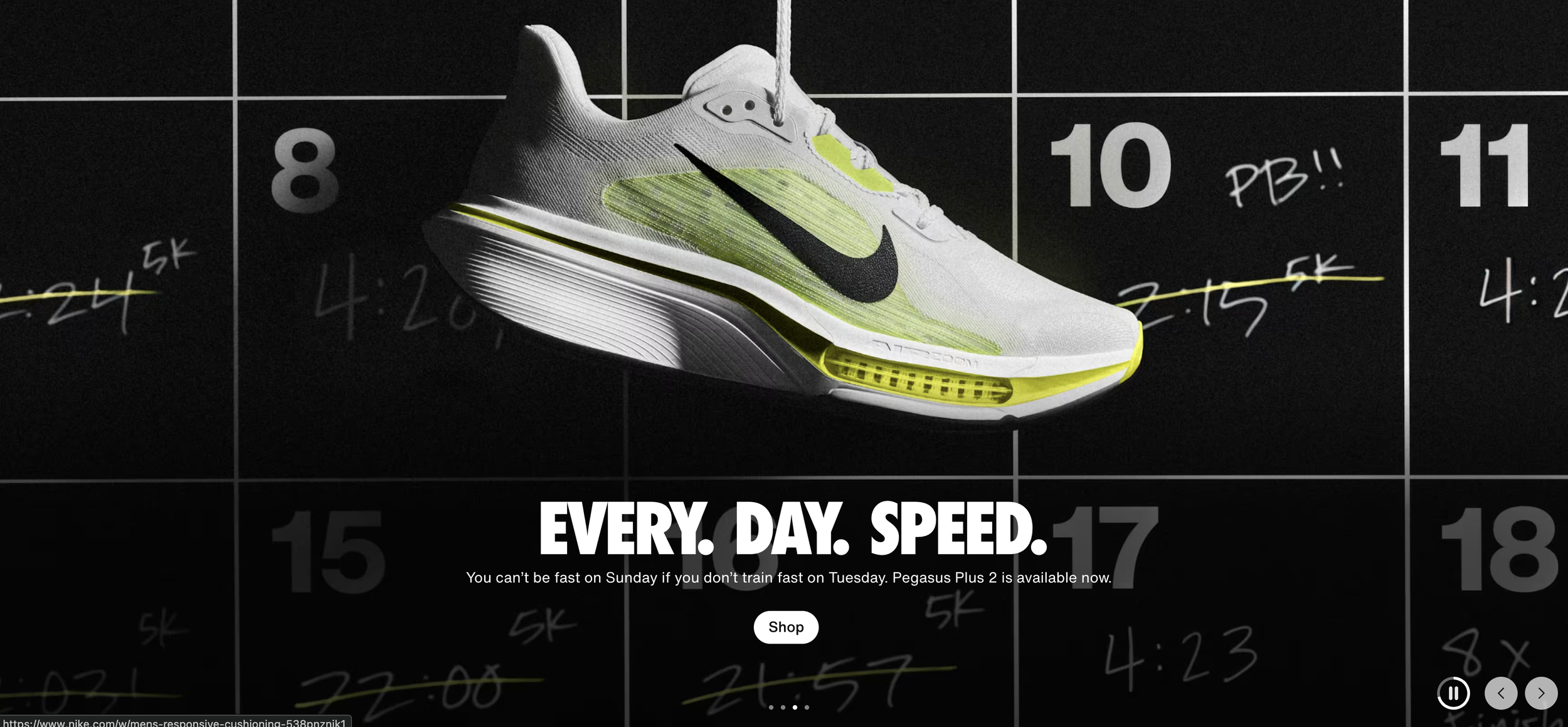 Nike Pegasus Plus 2