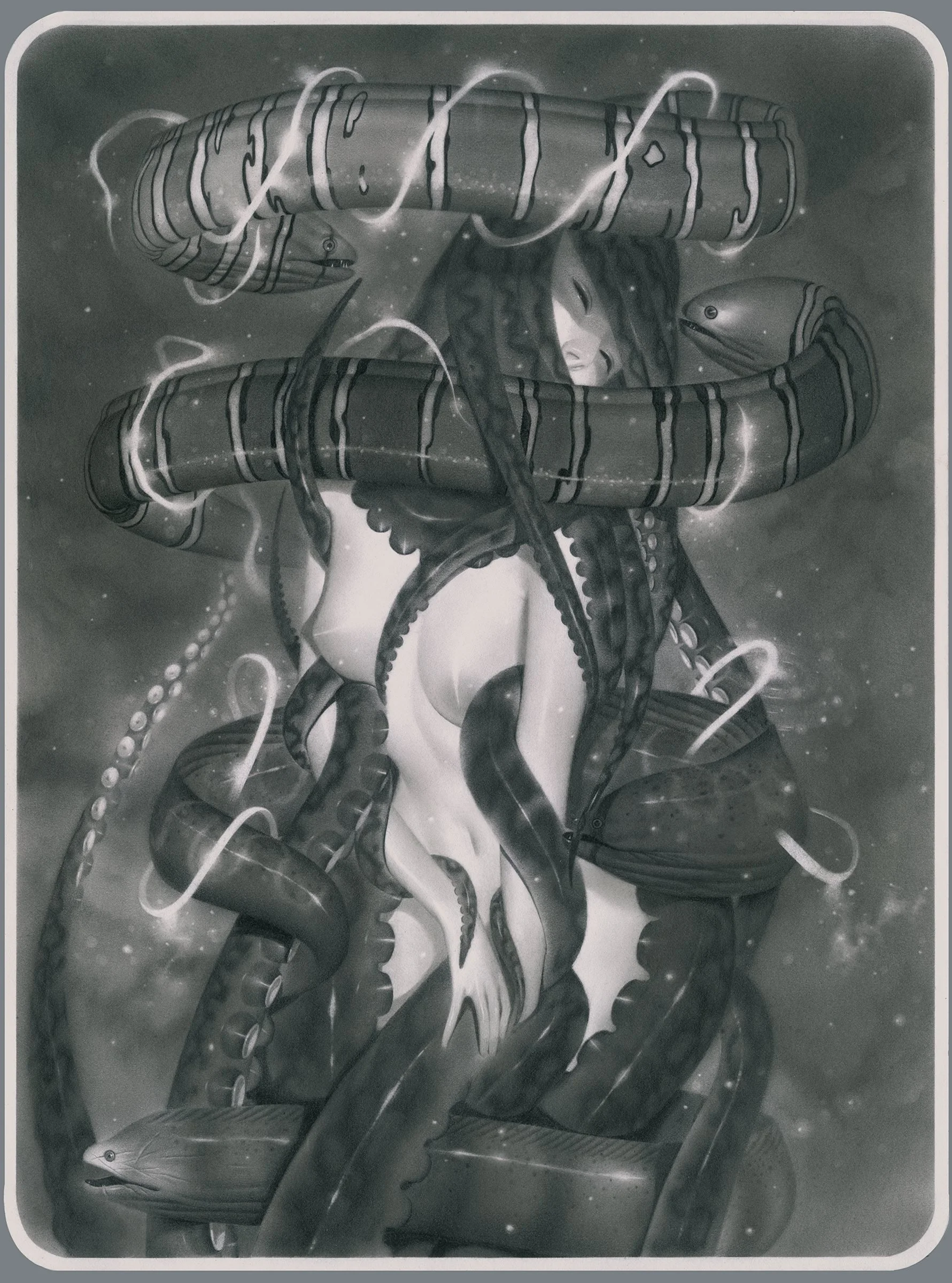 Pencil illustrations .jpeg