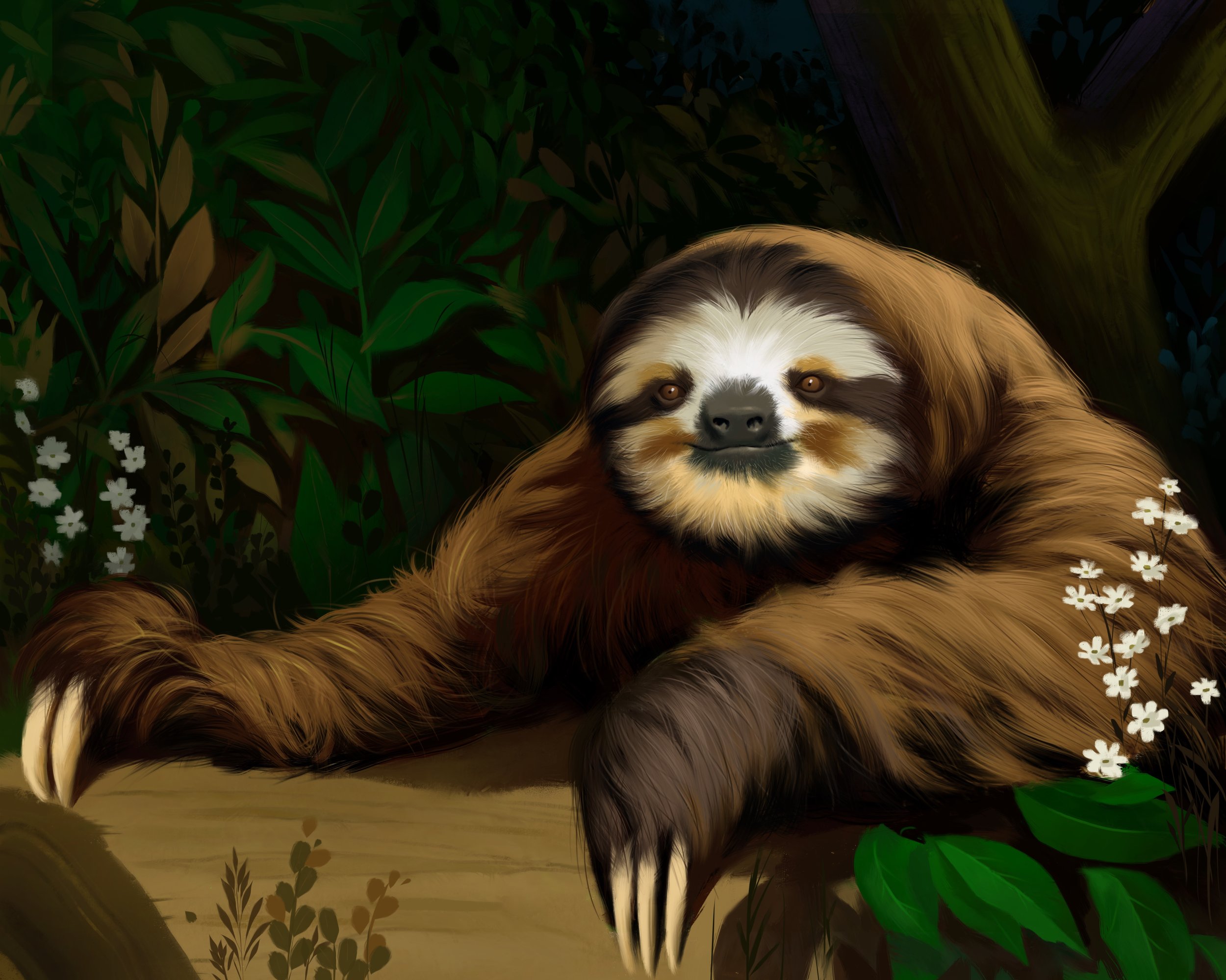 National Geographic production art