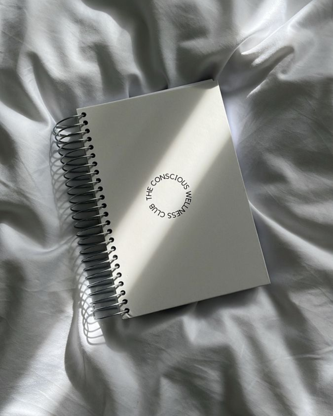 How to Journal Consistently