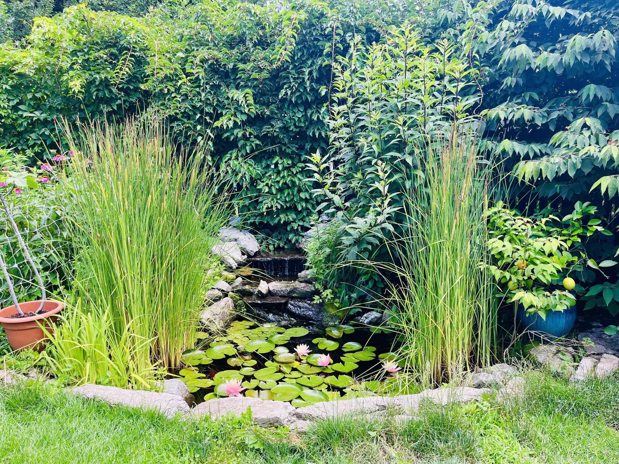 Urban Permaculture Design