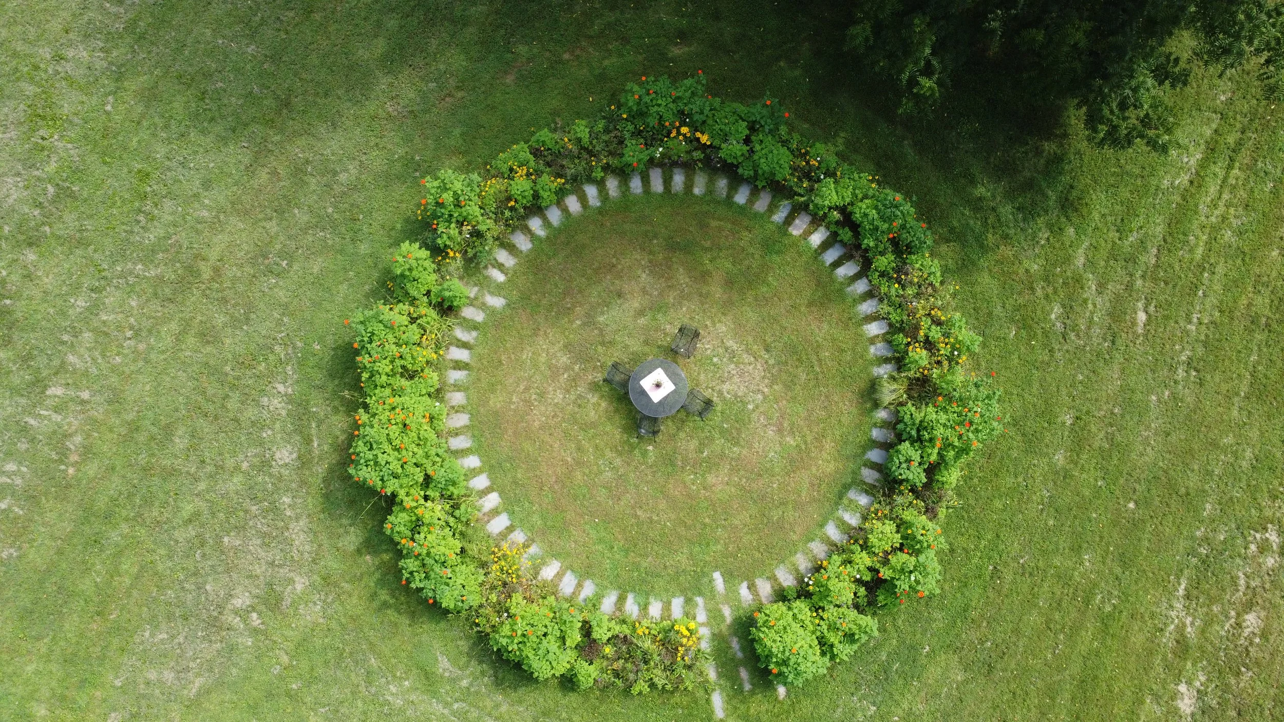 DJI_0534.JPG