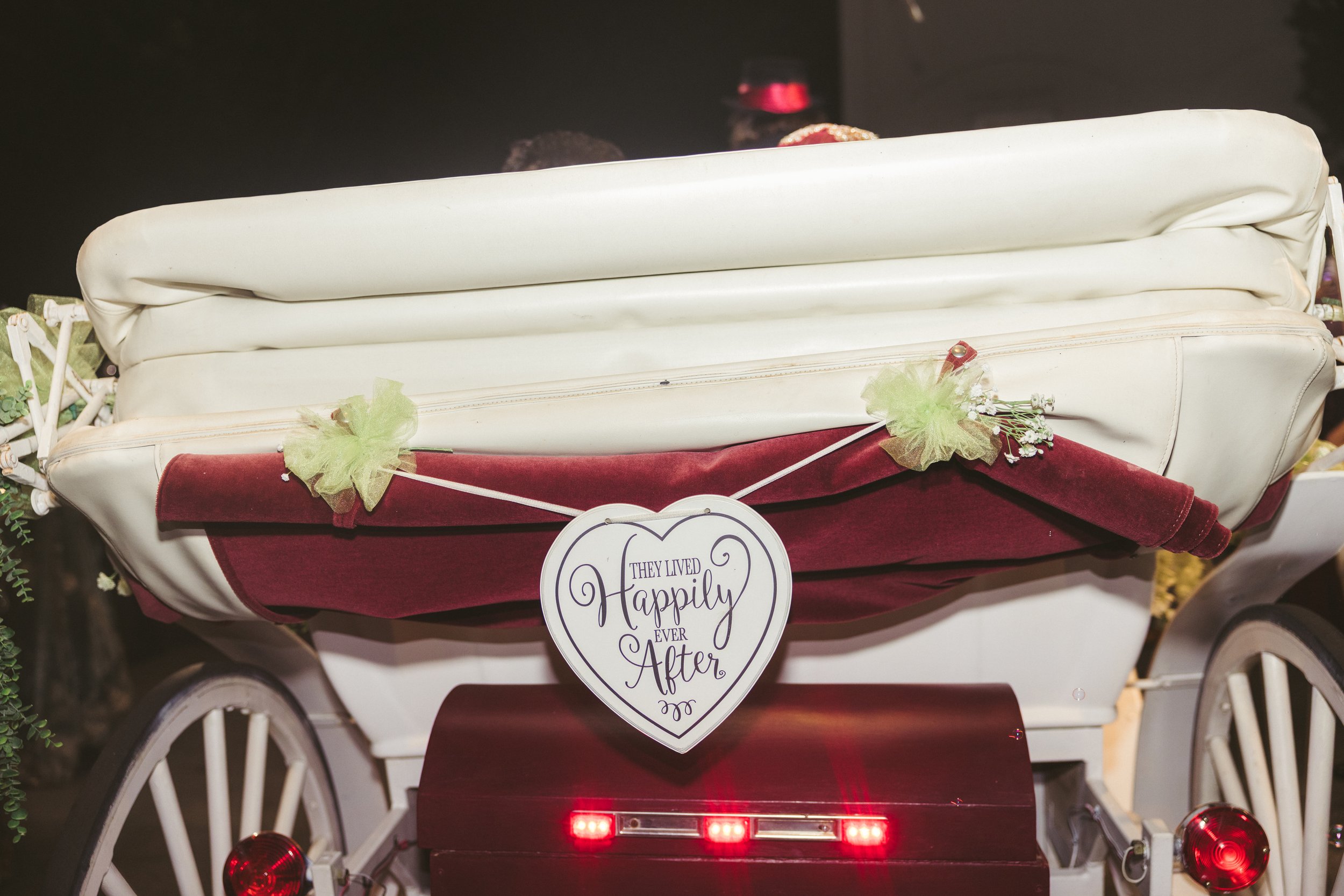 SnkWorks South Asian Indian-Pakistani Photos Videos - Best Photographer in VA, DMV, VA