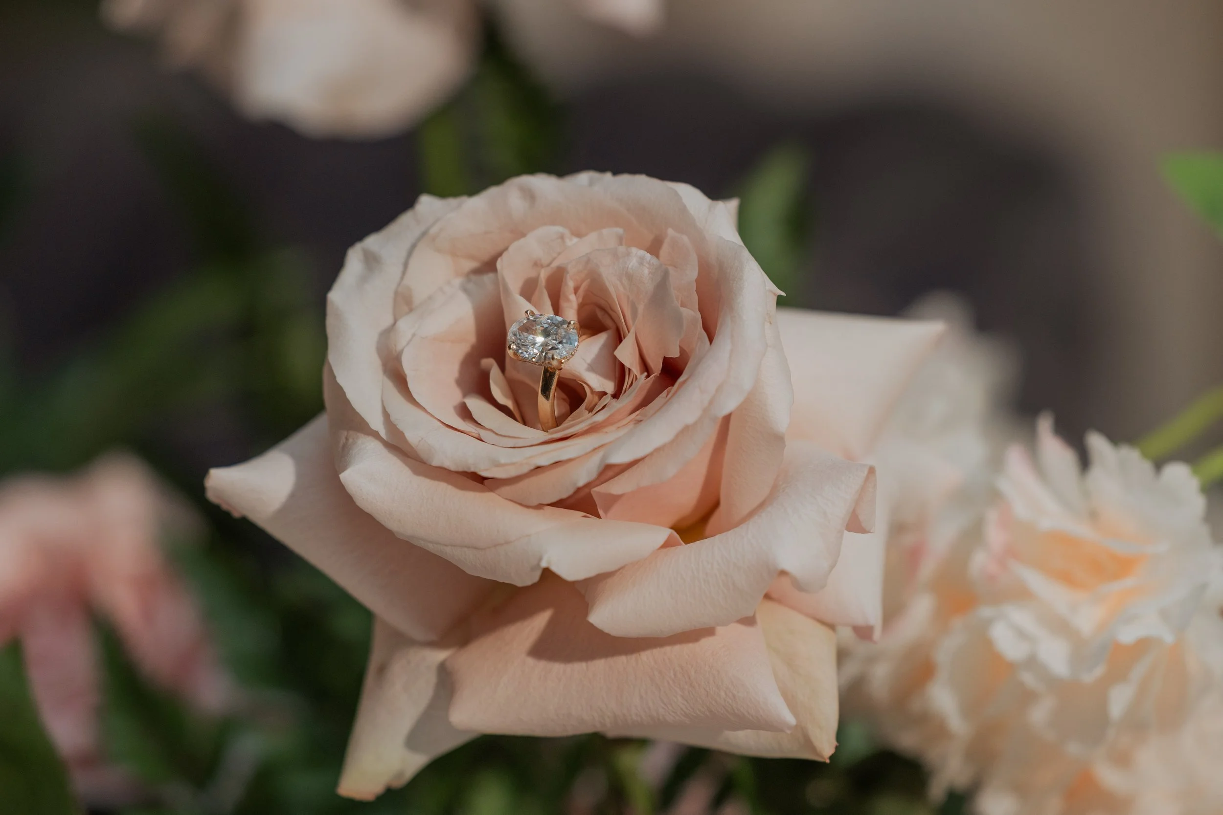 Snkworks Photos Venue and Decor (157).jpg