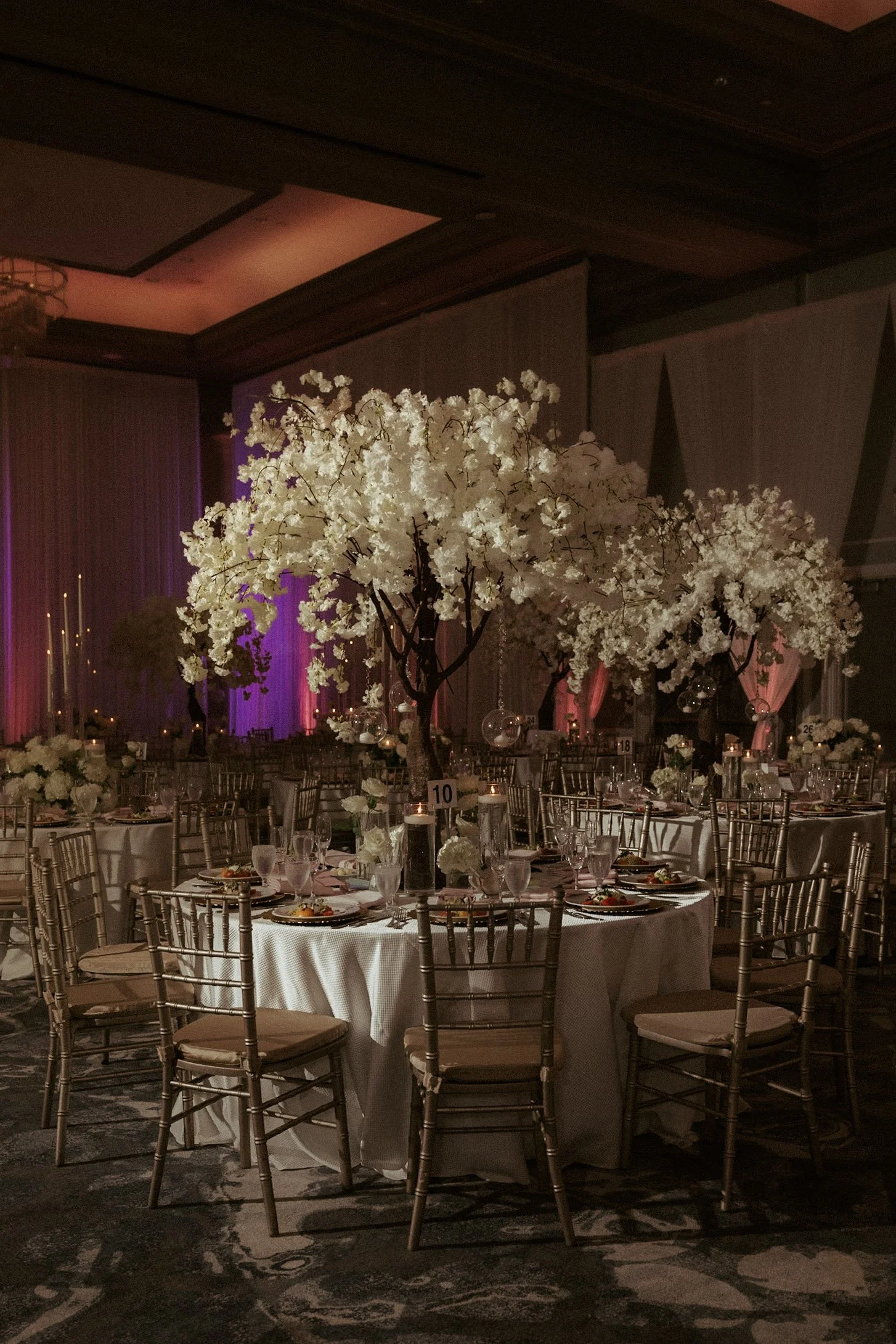 Snkworks Photos Venue and Decor (159).jpg