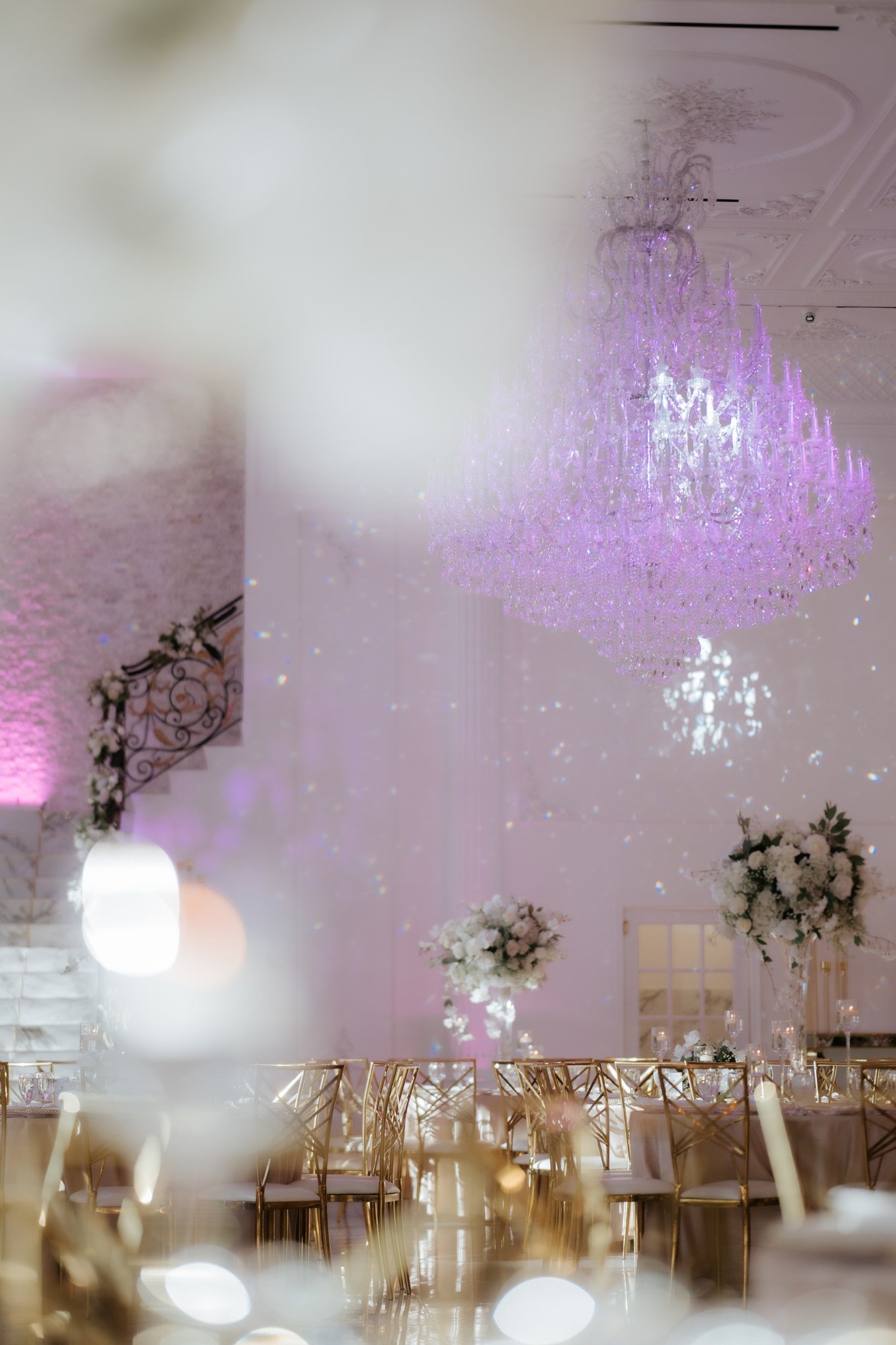 Snkworks Photos Venue and Decor (185).jpg