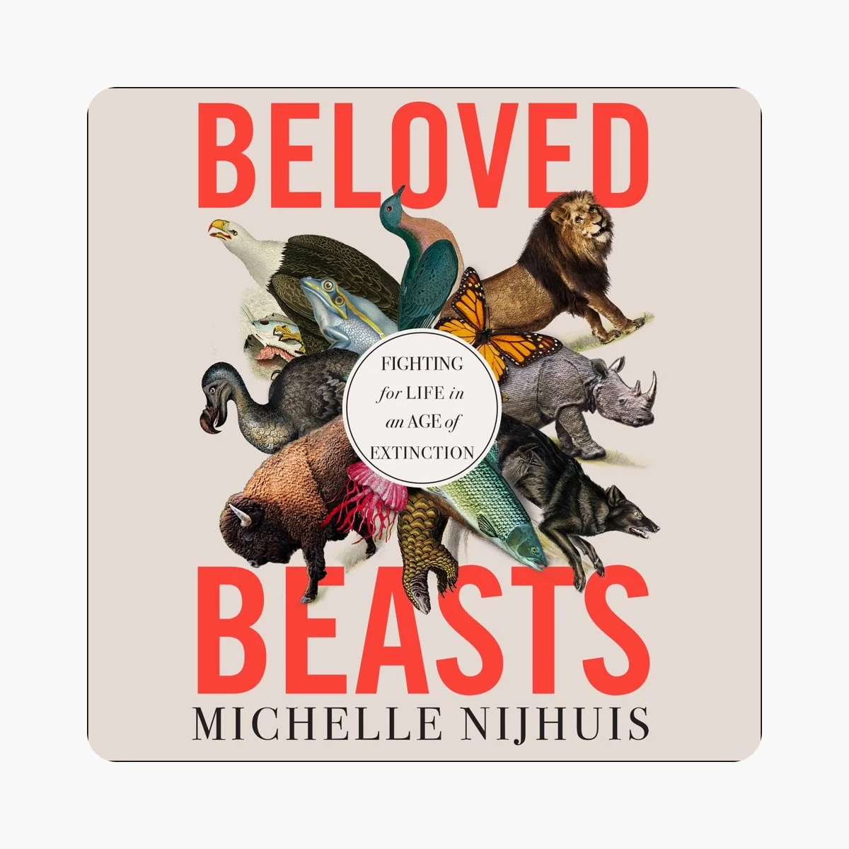 Michelle Nijhuis Reading & Art Pop-up