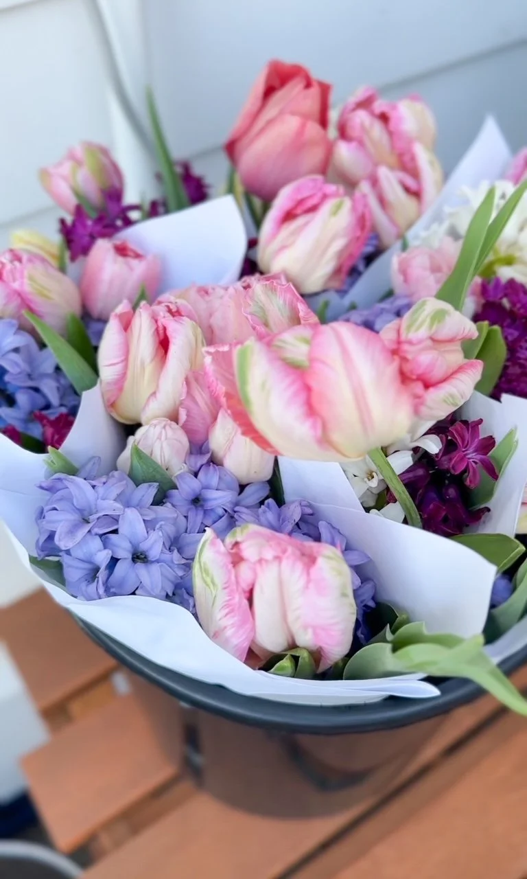 BULB PLANTING ROUNDUP