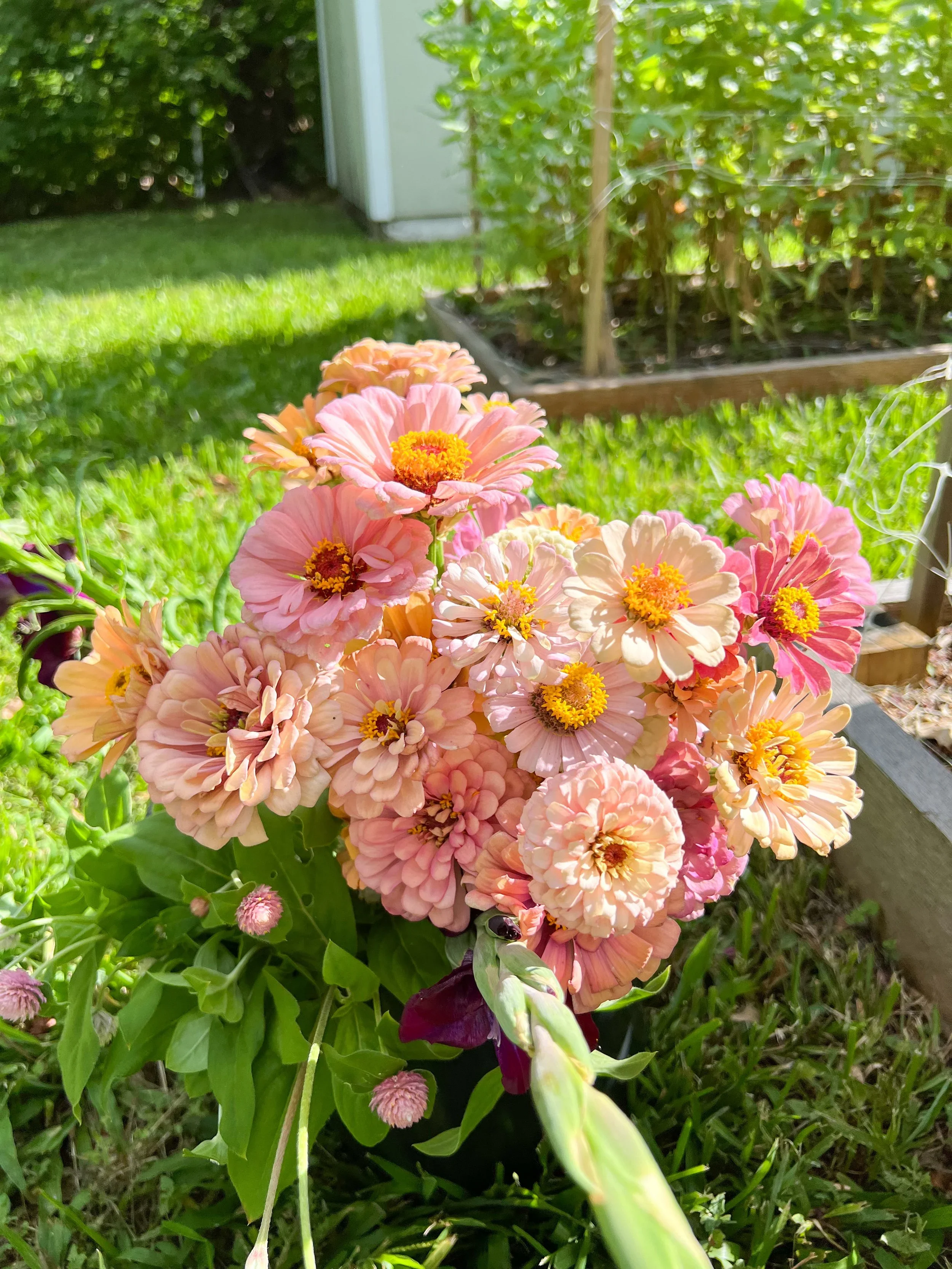 The Cut Flower Confidence Calendar