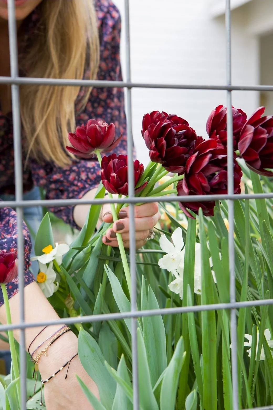 Alex harvesting flowers at the Bungalow Blooms flower farm, reflecting the month-by-month cut flower guidance in the calendar.