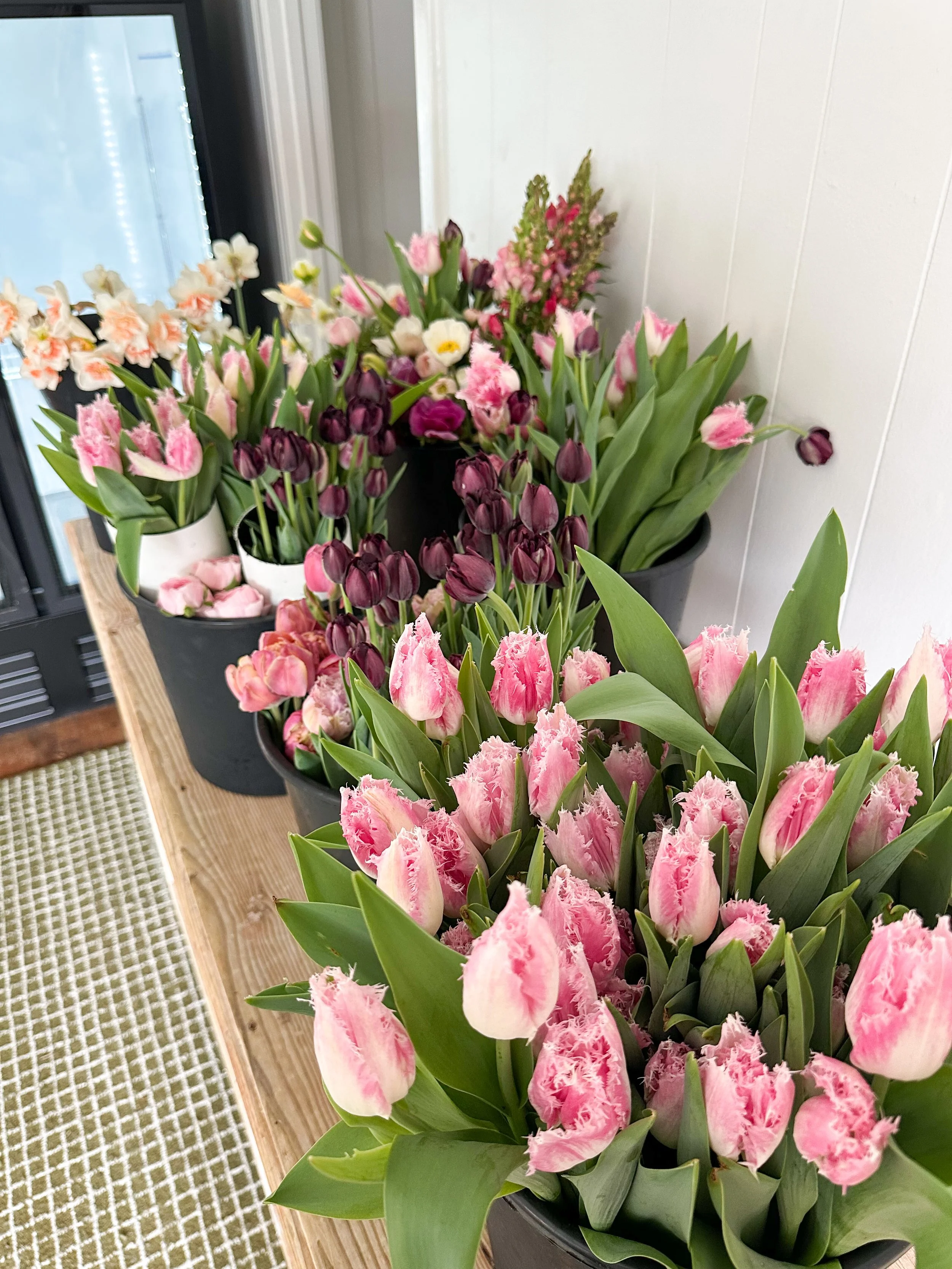 2025 spring flowers 2.JPG