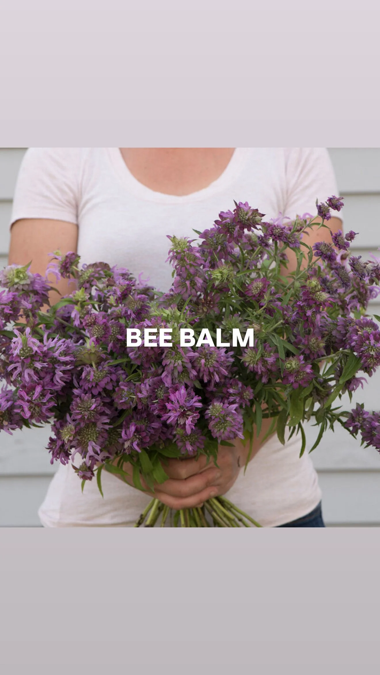 A904F1F5-BF72-410F-B31B-7C9E7CAD9A75.JPG