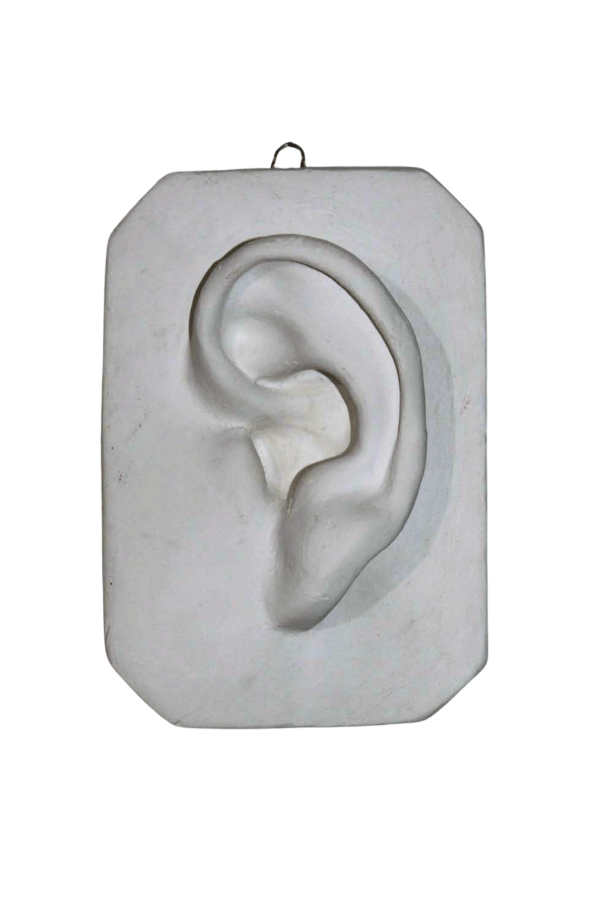 sculpting basics class (3).png