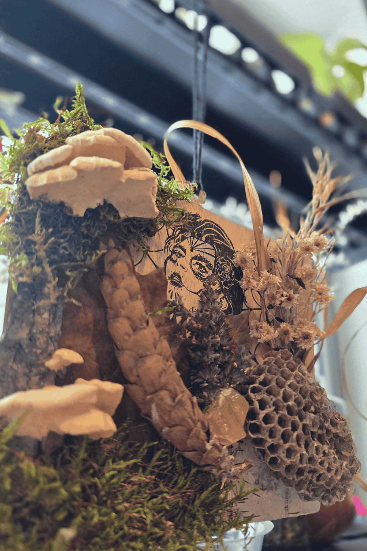 spring workshop saint croix falls (2).png