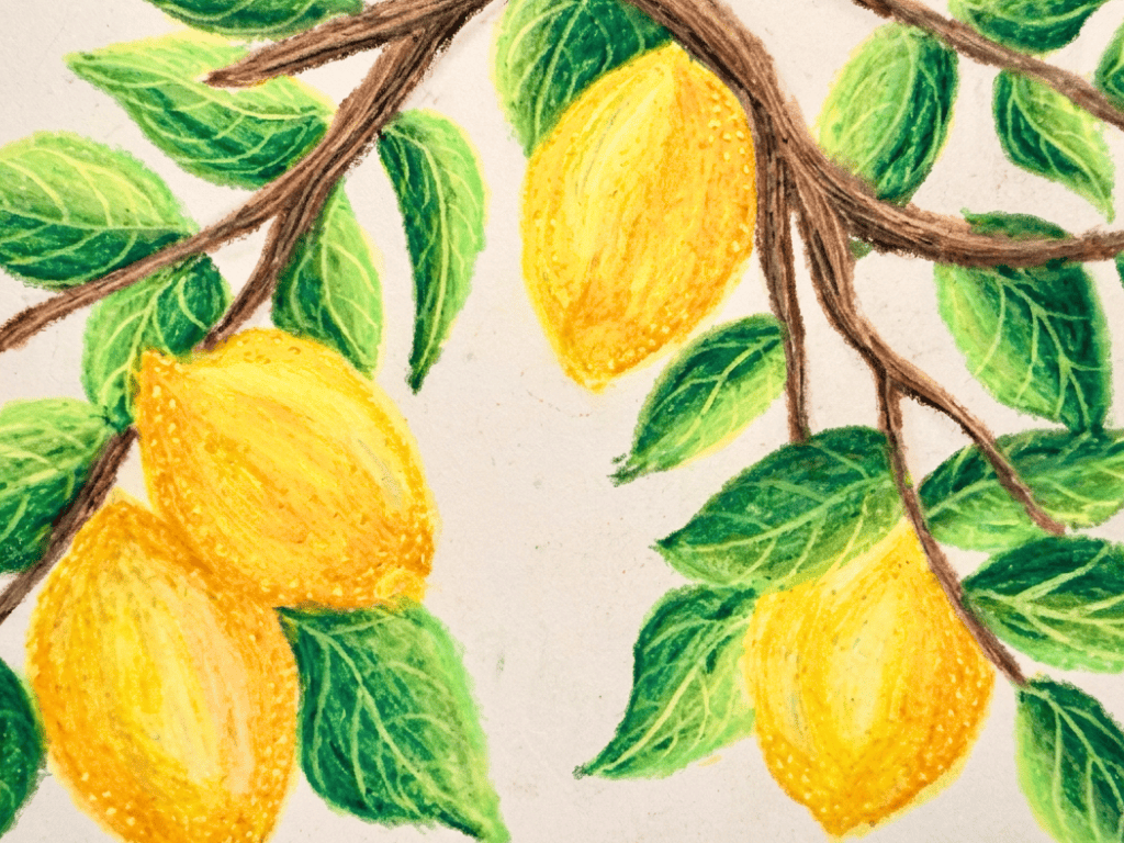 oil pastel drawing lemons on a branch.png