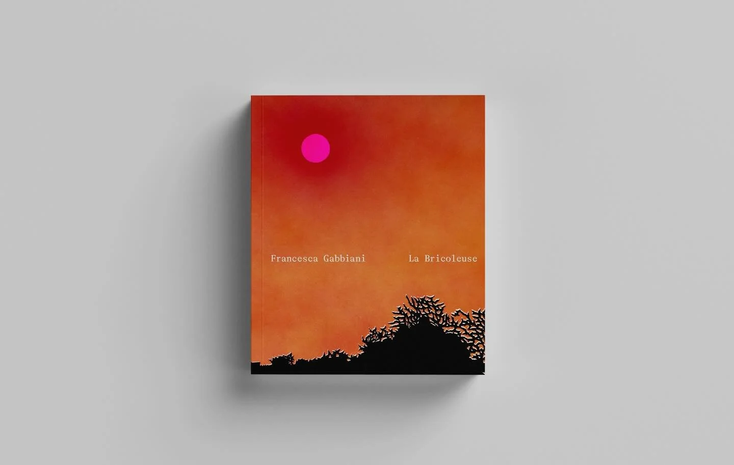 I am so happy to reveal a special project I have been working on with @hatandbeardpress , coming this fall ! My first monograph, La Bricoleuse, is now available for pre-sale at the link in bio ! I can&rsquo;t wait to share this comprehensive look at 