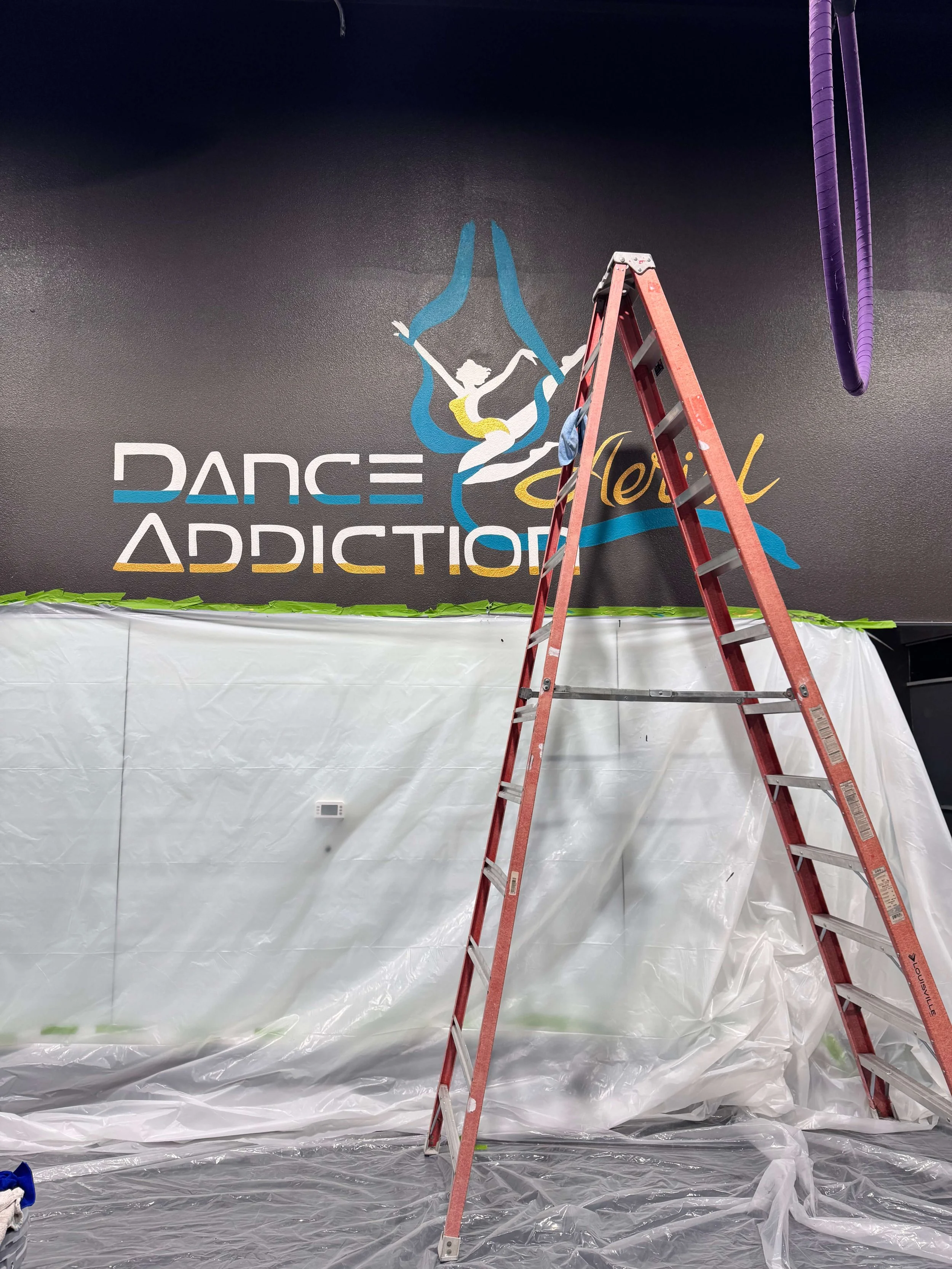 Mural- Dance & Aerial Addiction