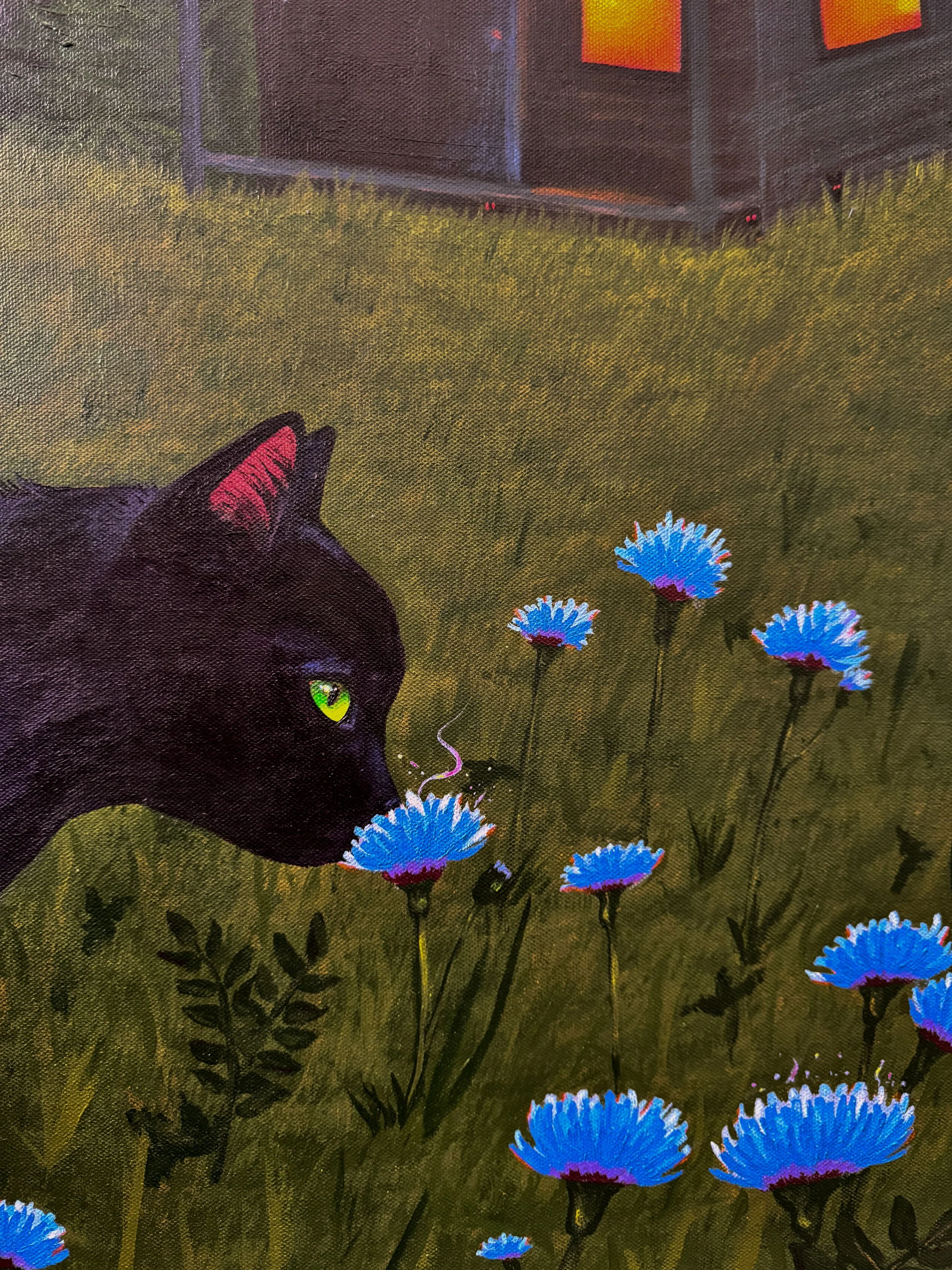 cat closeup 3.jpg