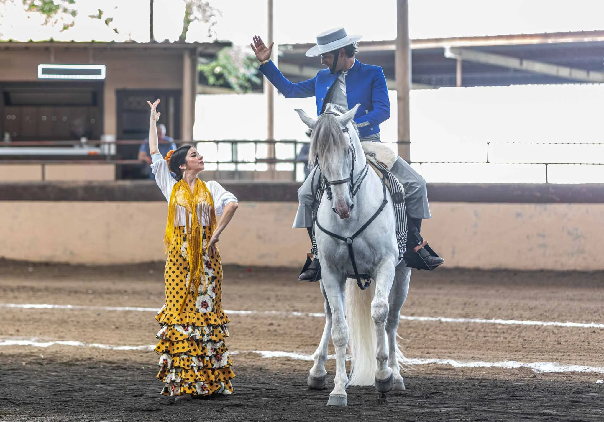 flamenco salute with horse.jpg