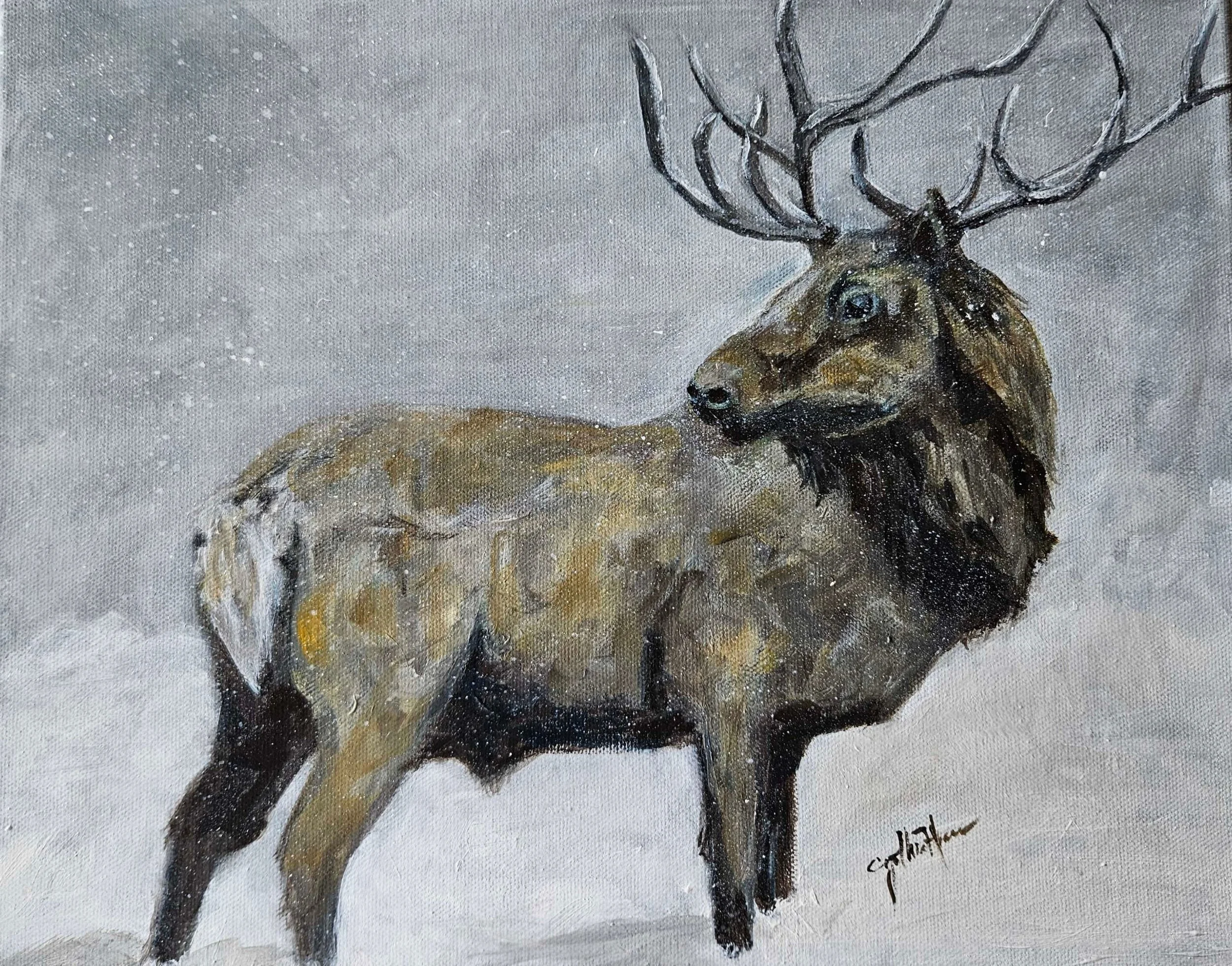Elk in Blizzard