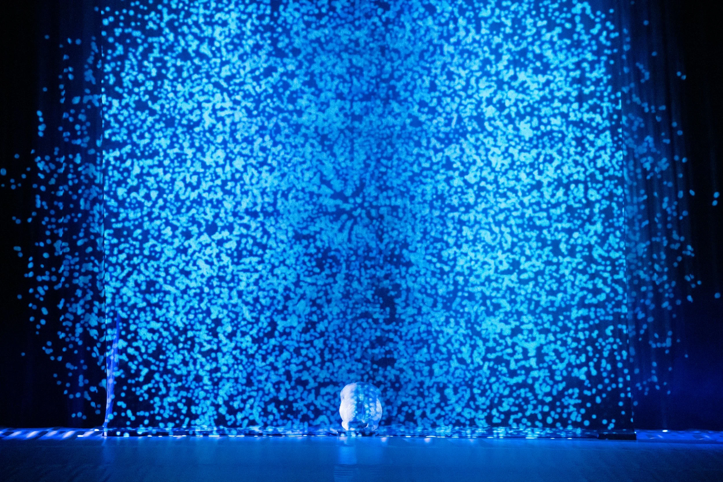 Copy of ENCORE_By_Leaps_And_Bounds_1078.jpg