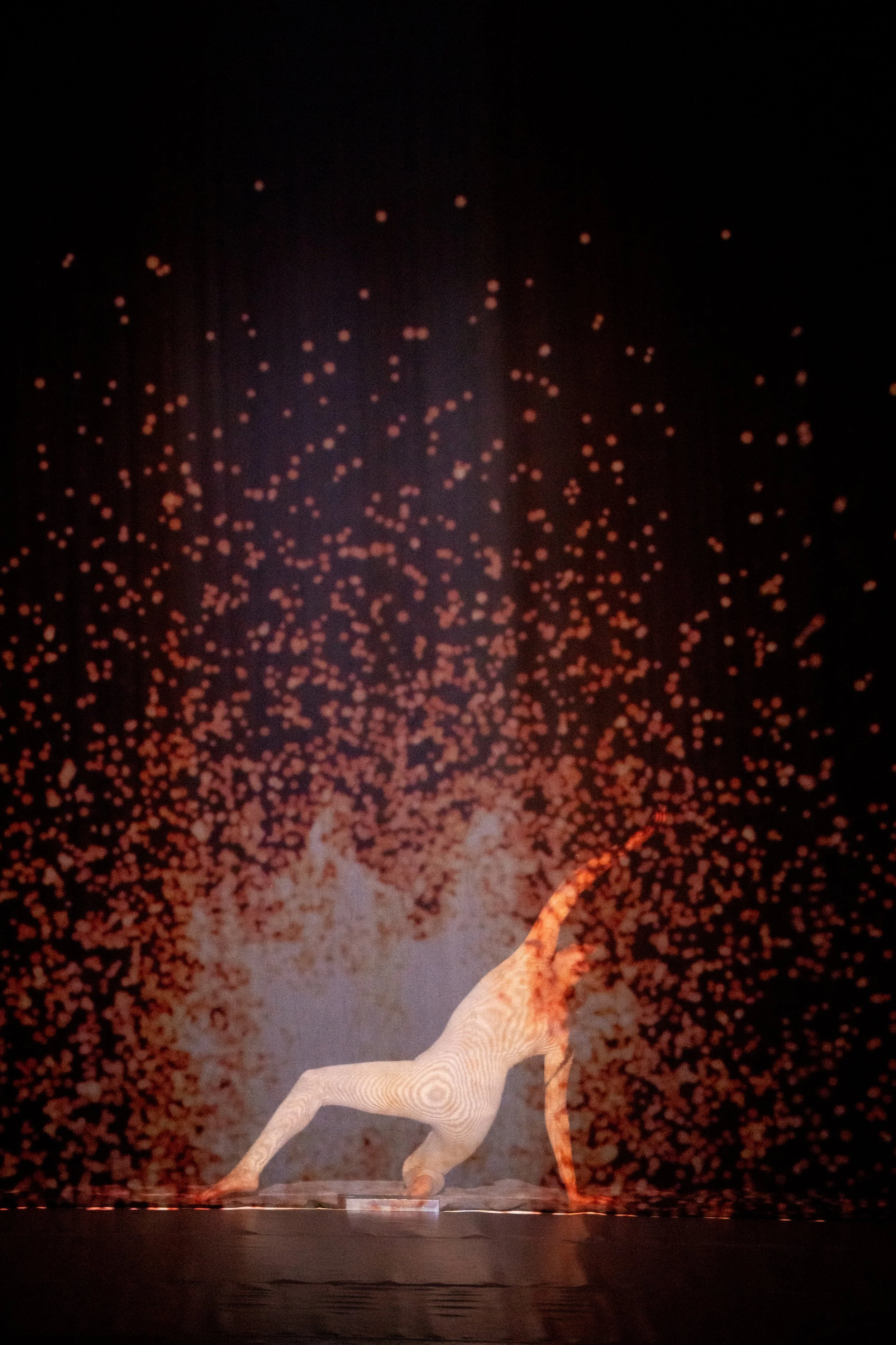 Copy of ENCORE_By_Leaps_And_Bounds_1136.jpg