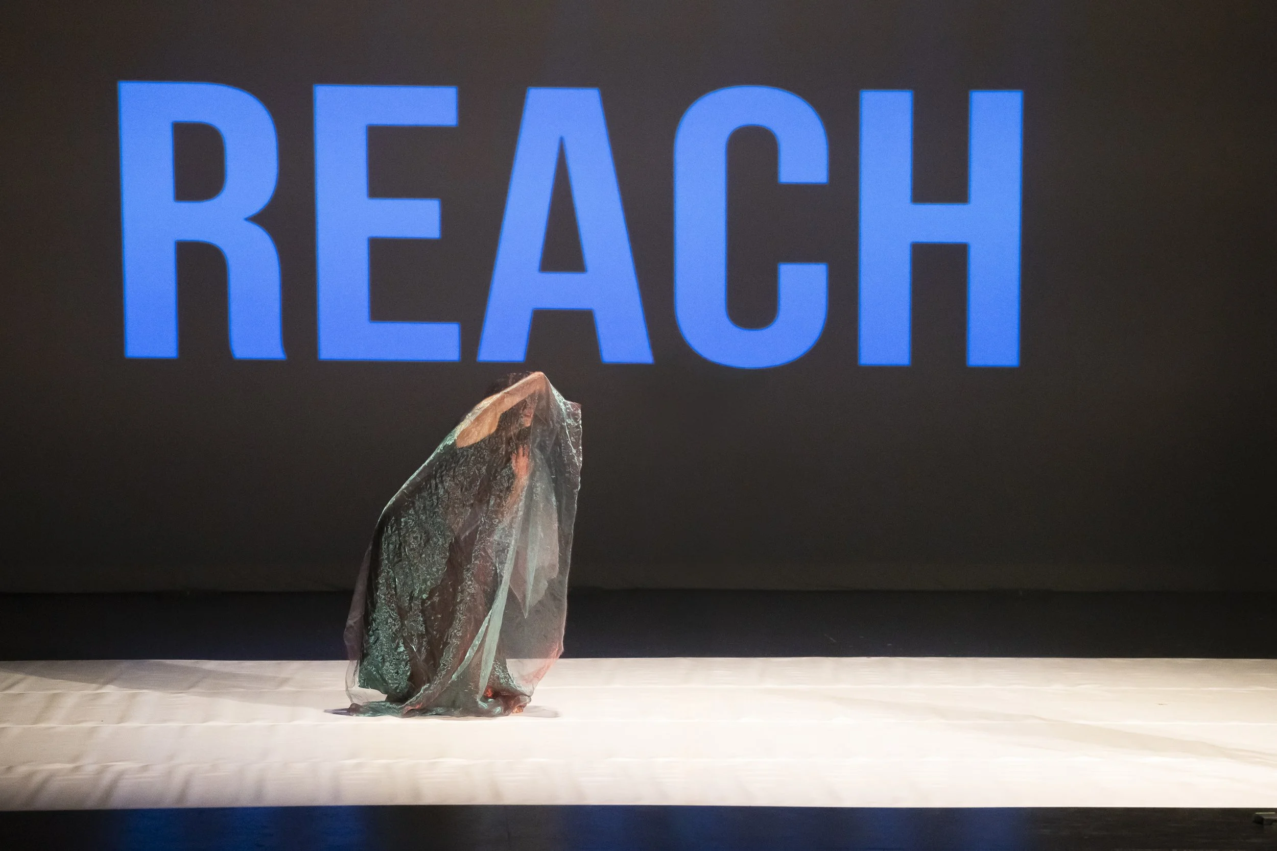 Copy of ENCORE_By_Leaps_And_Bounds_0920.jpg