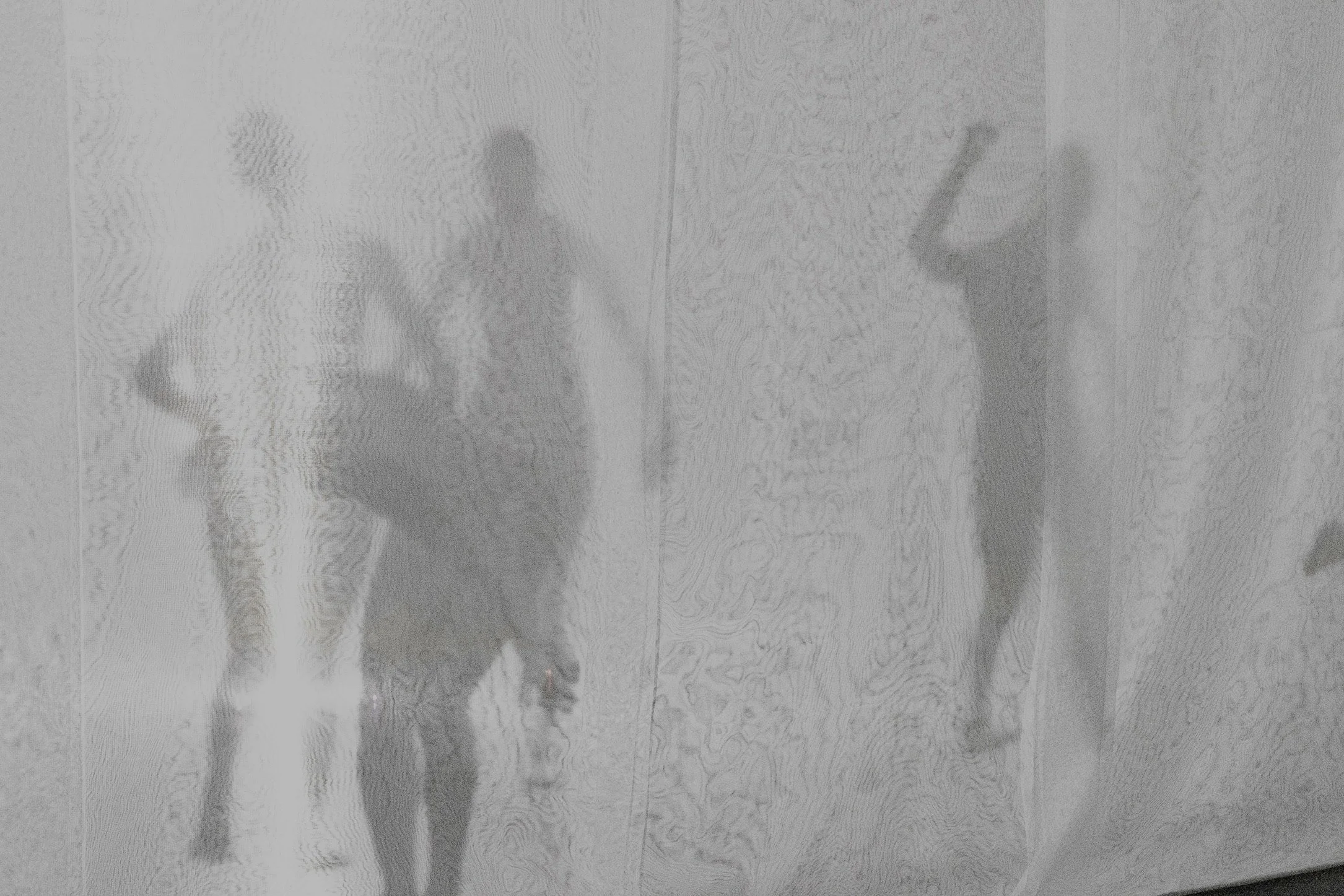 4424122D-C845-481F-B721-6FEC6D787BAF_1_102_a.jpeg