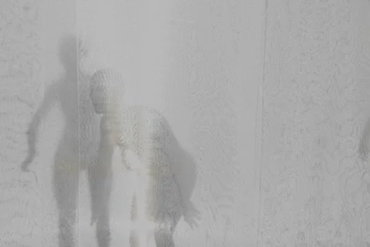 B01F66D2-A263-4056-AD9E-A61CA1AAC485_4_5005_c.jpeg