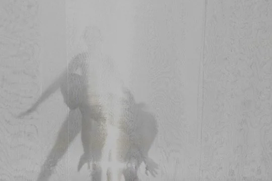 E04D2BB9-AB49-4851-A98A-70BB8D4BEB31_4_5005_c.jpeg